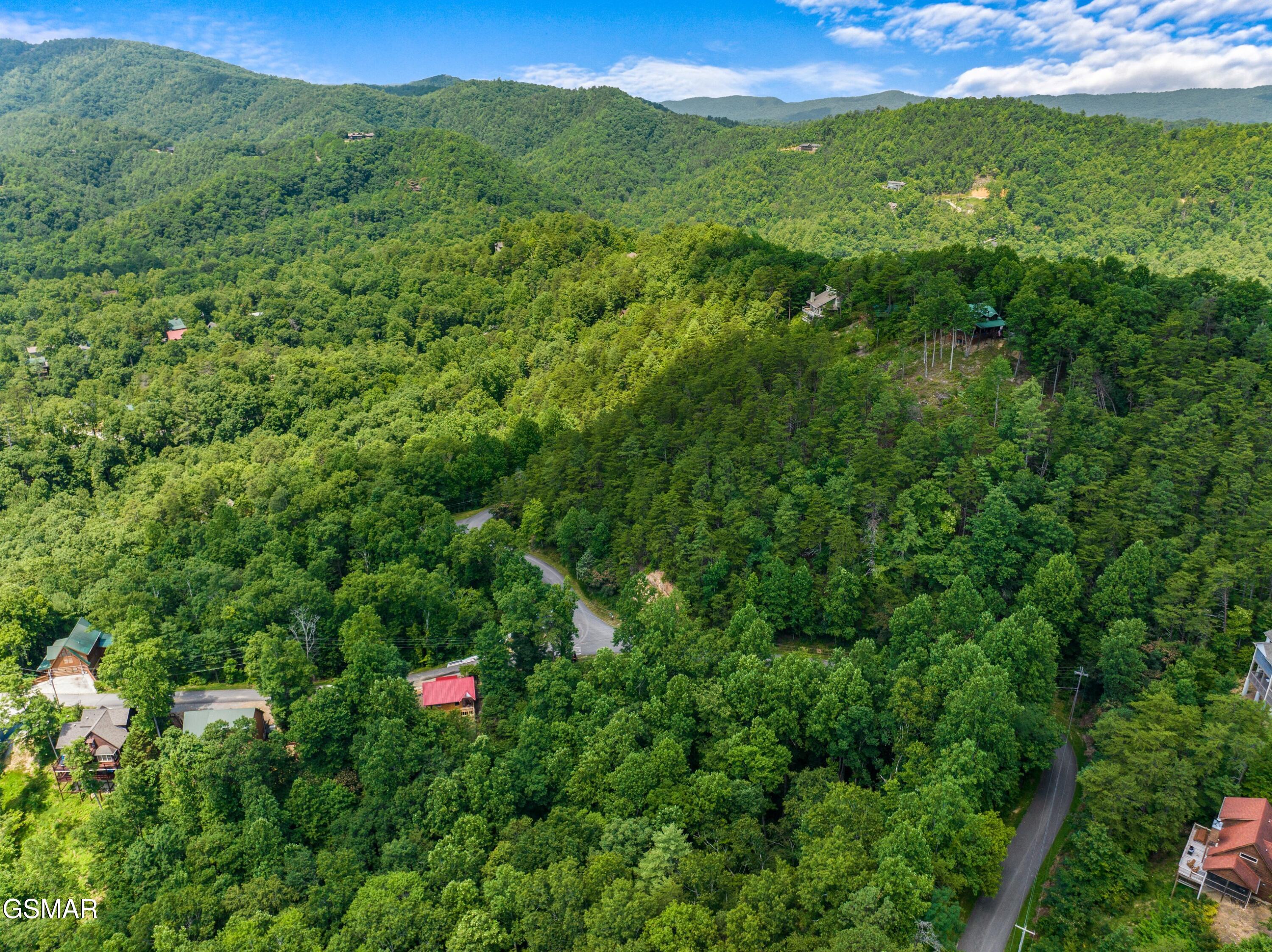 1005 Laurel Road Townsend TN 37882