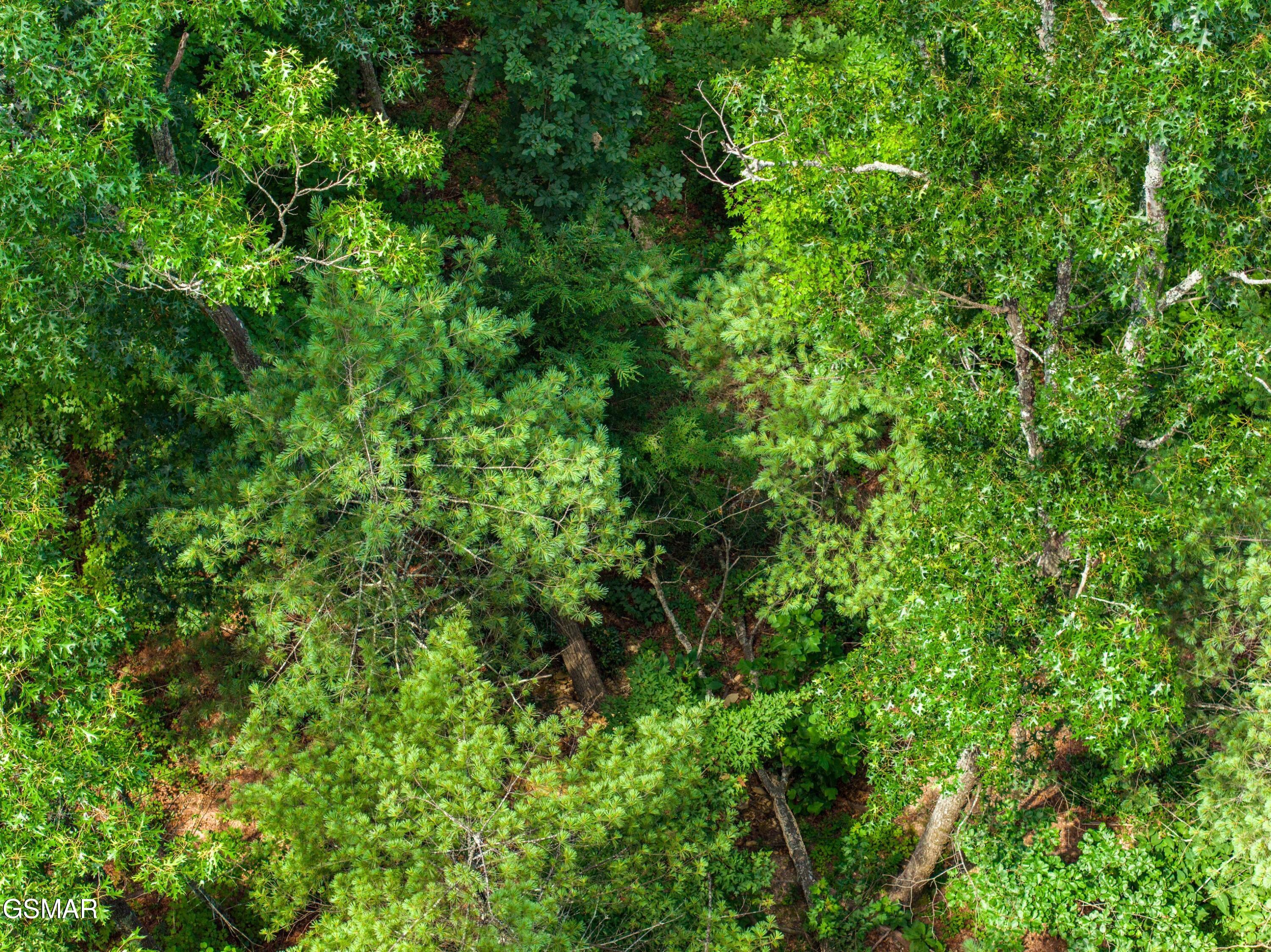 1005 Laurel Road Townsend TN 37882