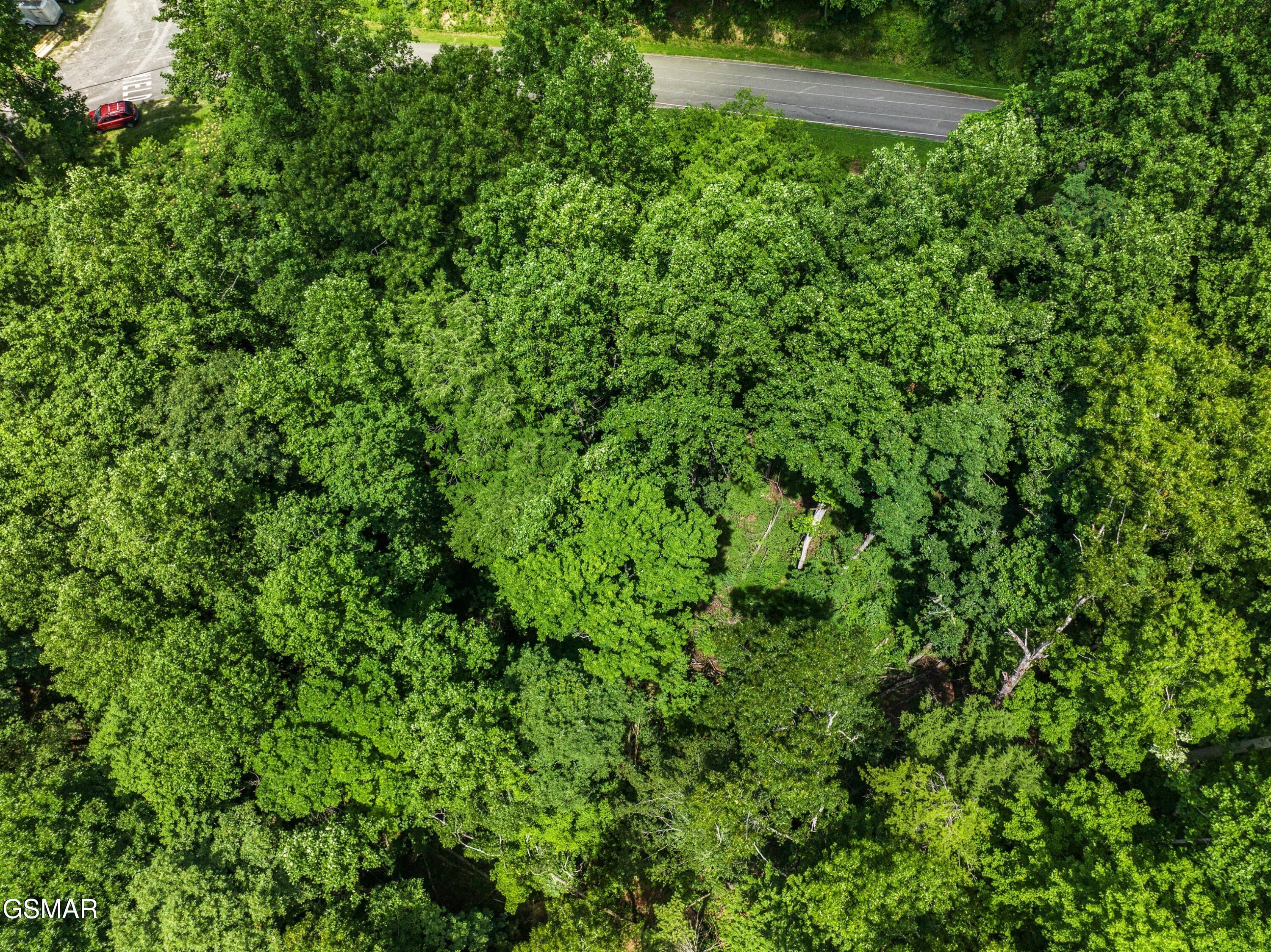 1005 Laurel Road Townsend TN 37882