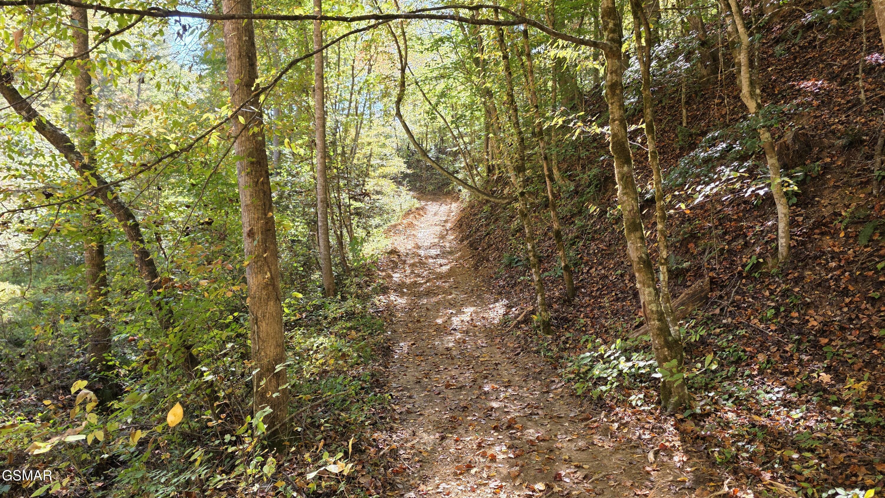 1876 Upper Middle Creek Road Sevierville TN 37876