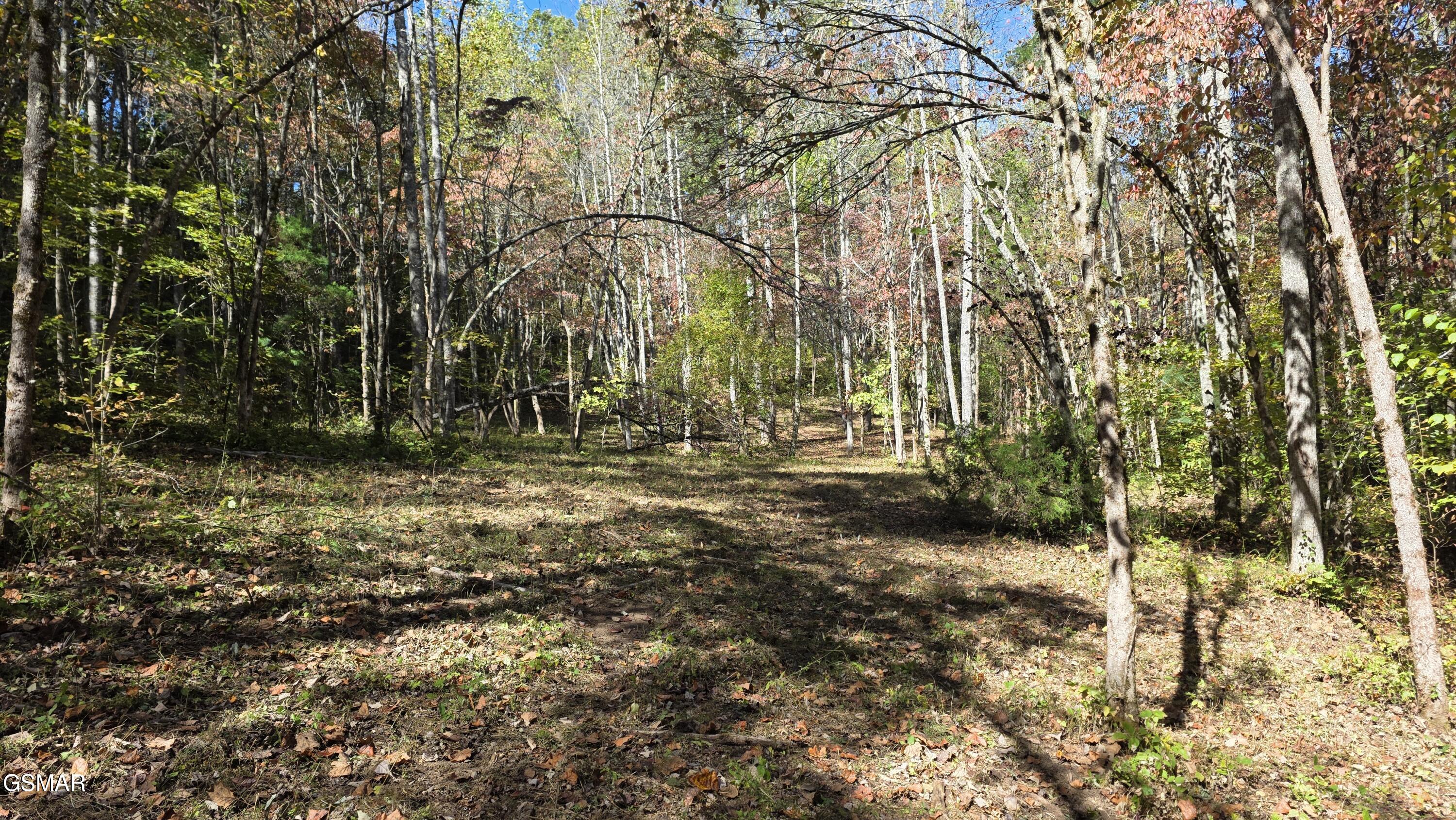 1876 Upper Middle Creek Road Sevierville TN 37876