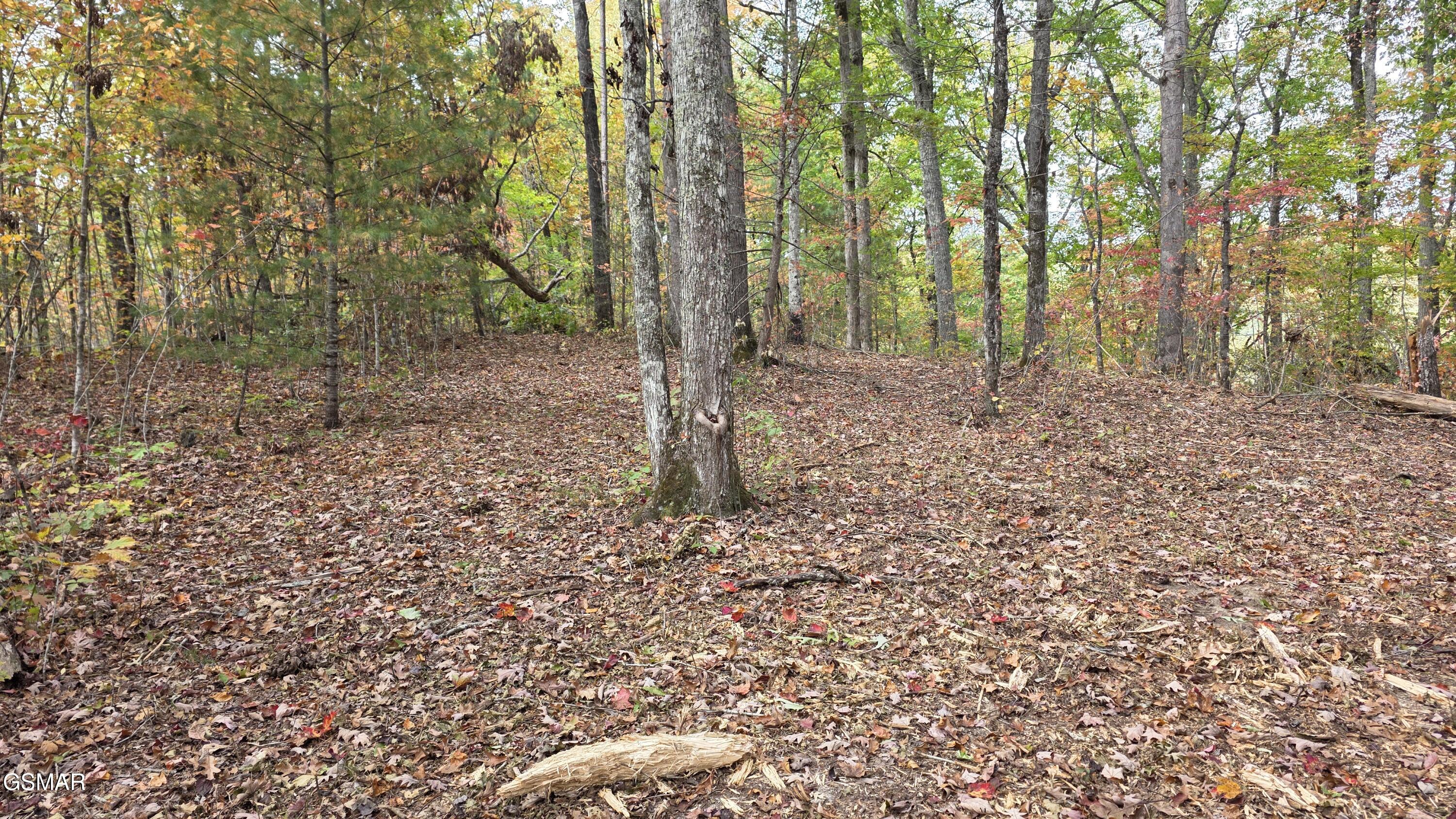 1876 Upper Middle Creek Road Sevierville TN 37876