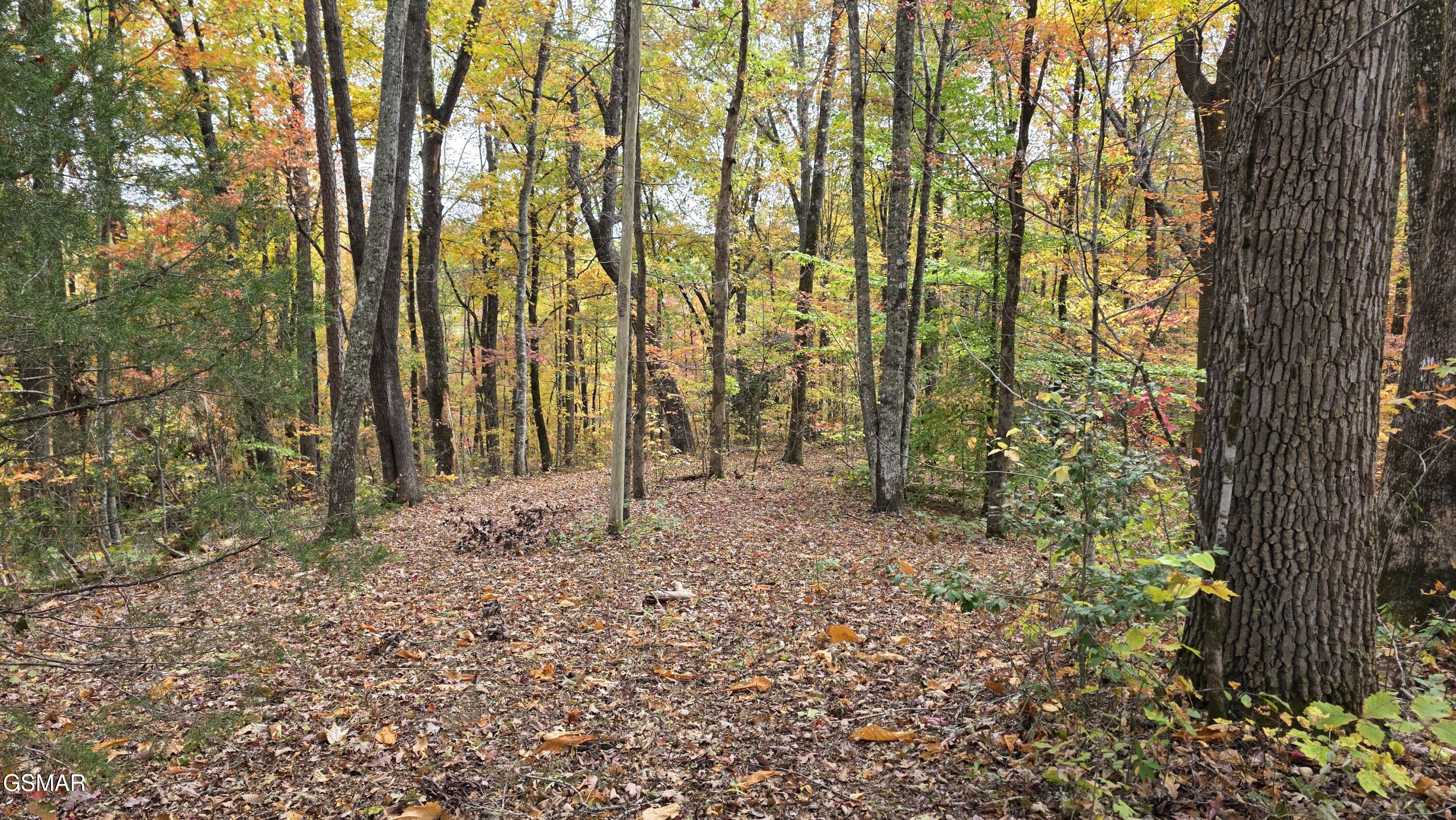 1876 Upper Middle Creek Road Sevierville TN 37876