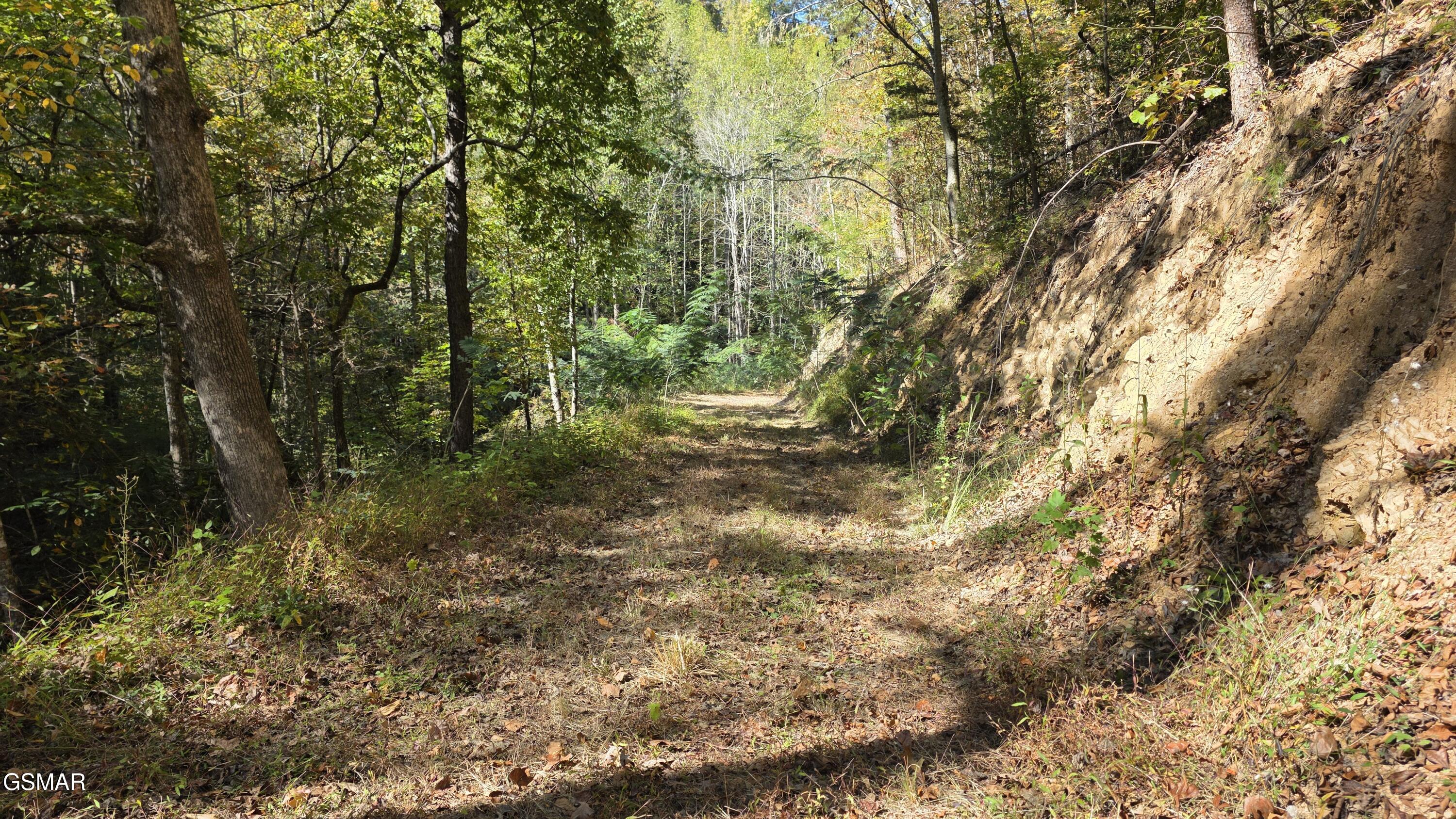 1876 Upper Middle Creek Road Sevierville TN 37876