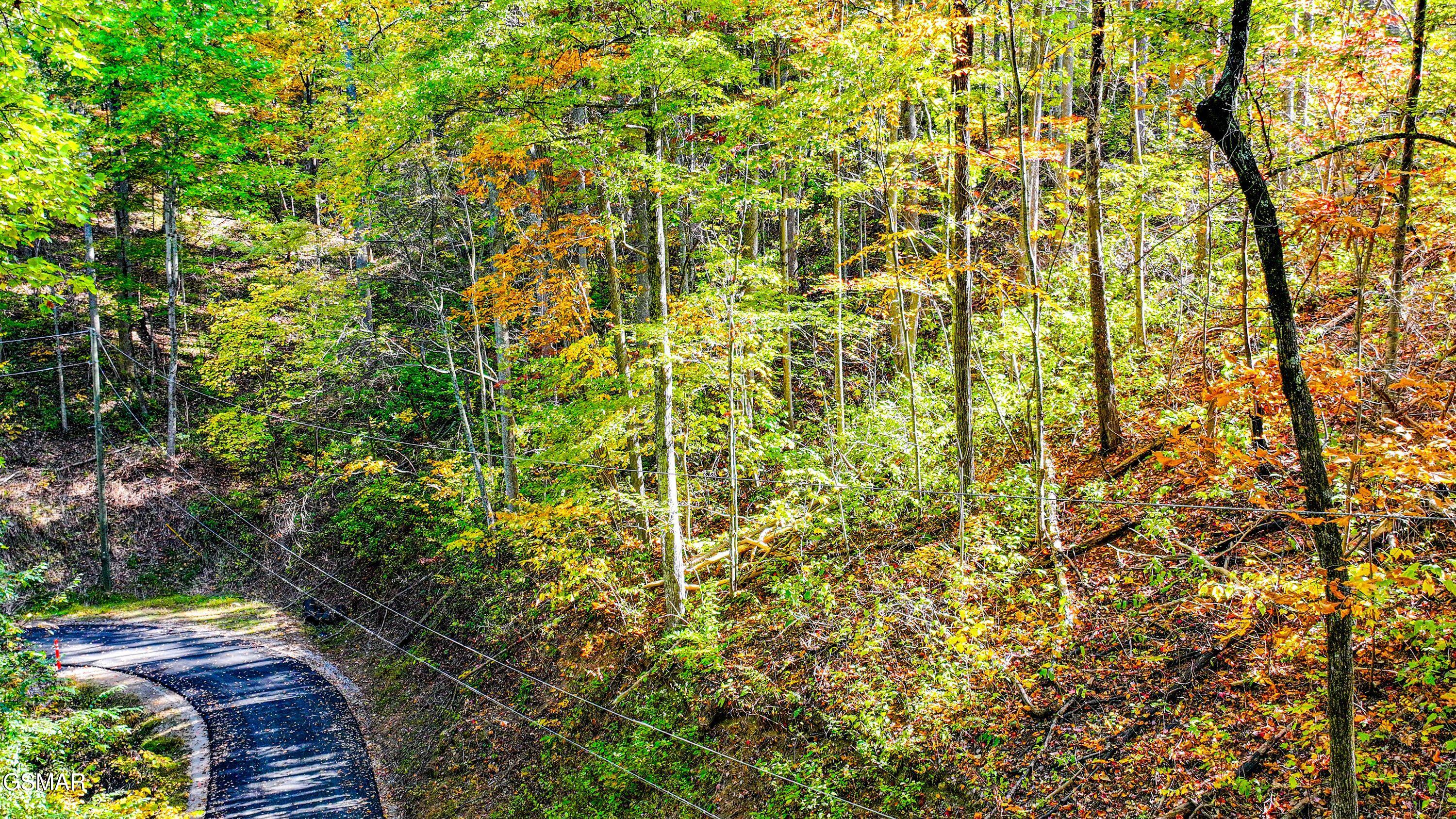 Lot 6 Emerald Springs Loop Sevierville TN 37862