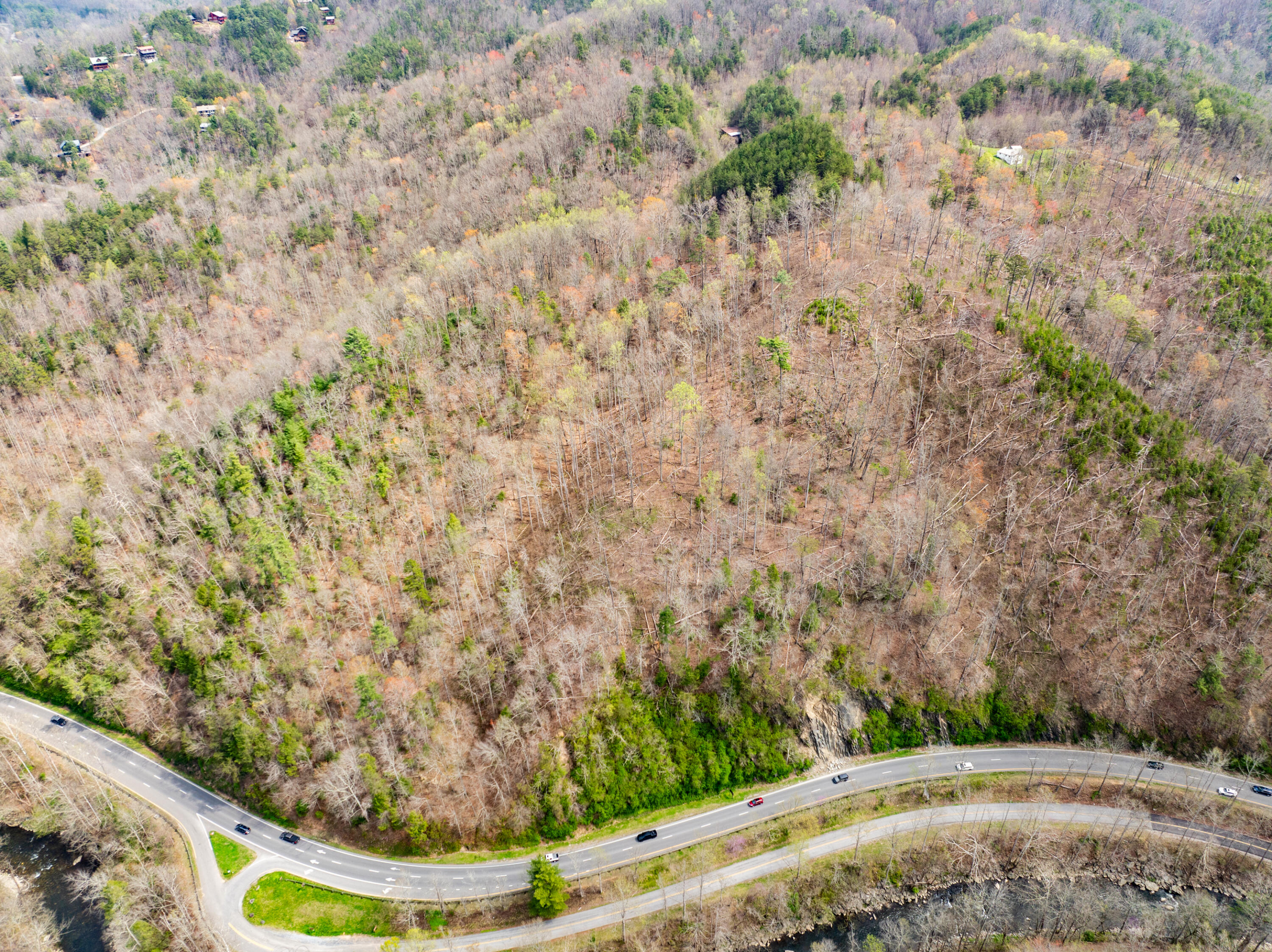 4274 S King Branch Road Sevierville TN 37876