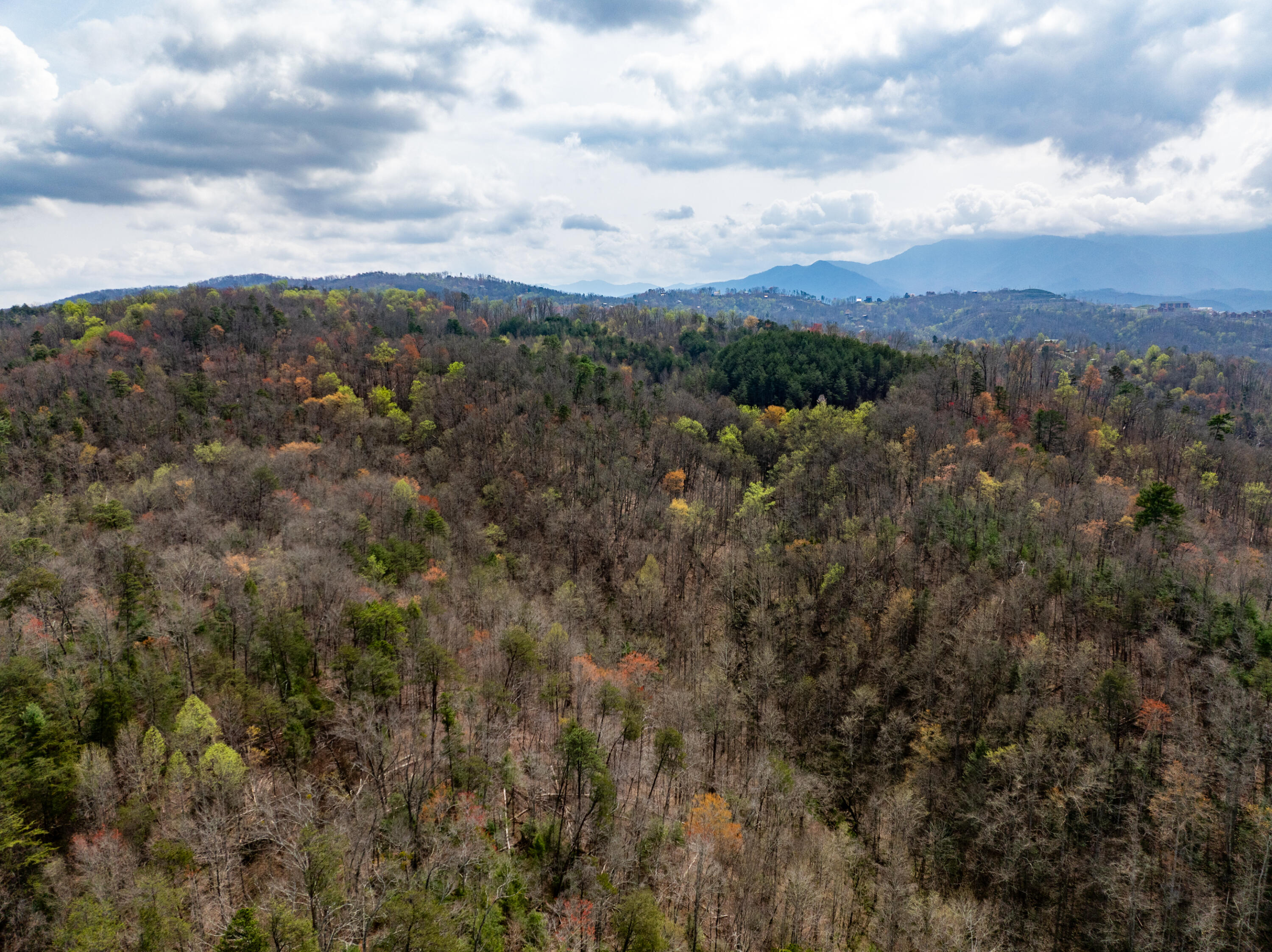 4274 S King Branch Road Sevierville TN 37876