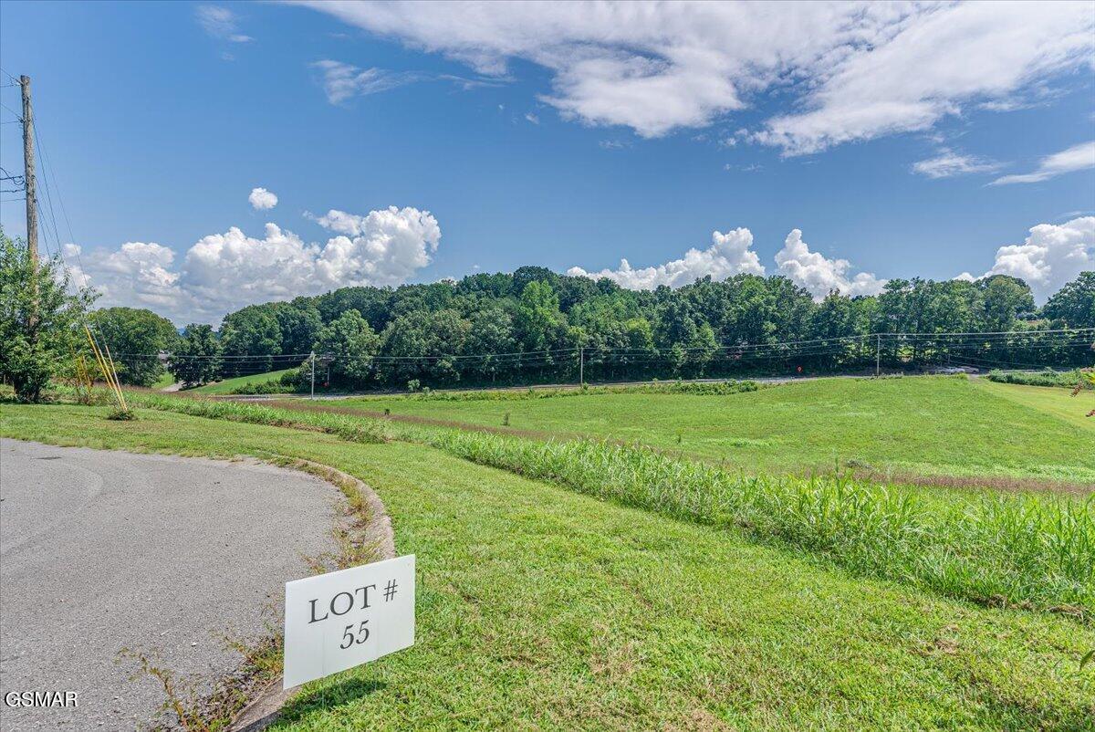 213 Washita Lane Rutledge TN 37861