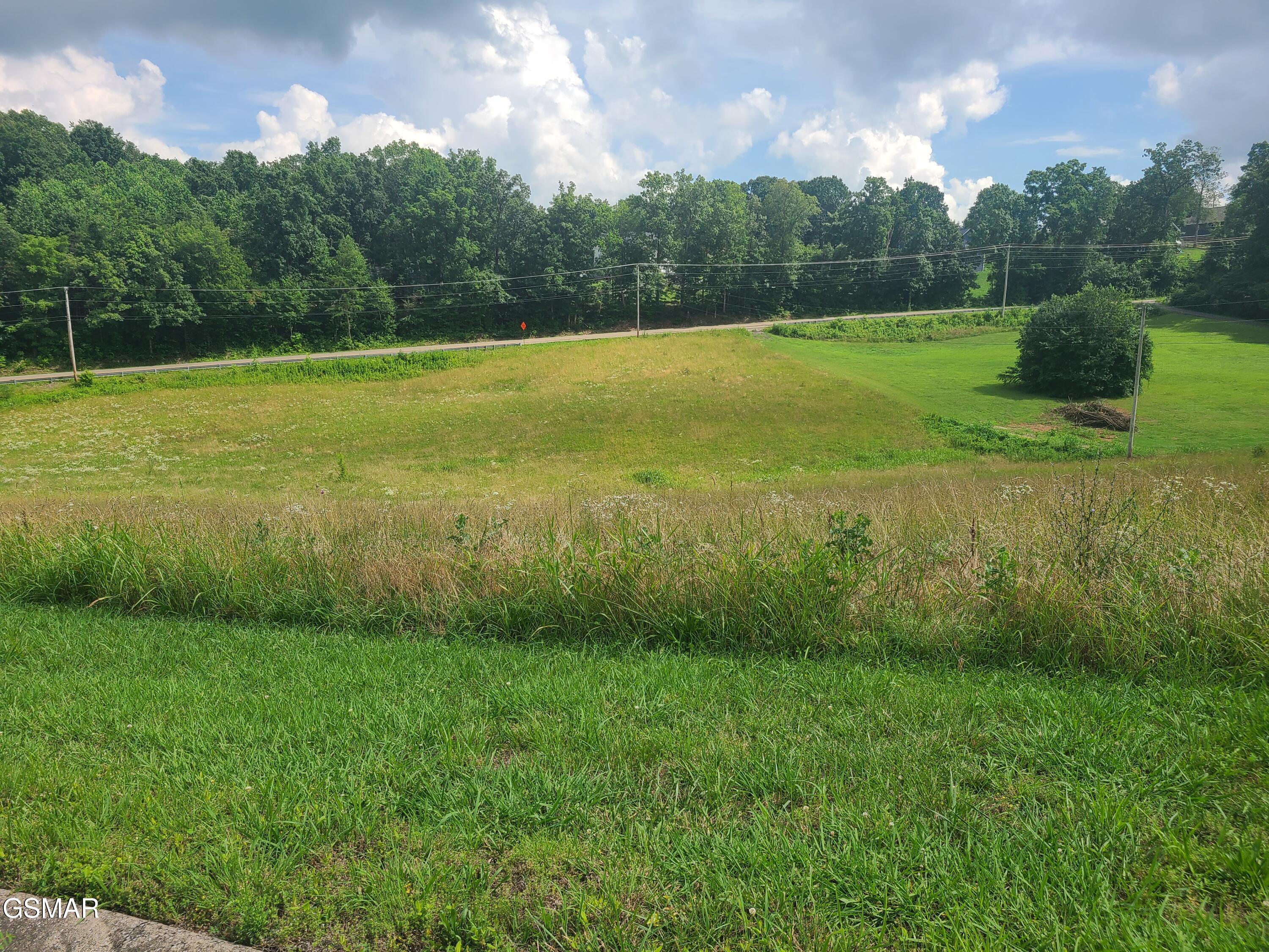 213 Washita Lane Rutledge TN 37861