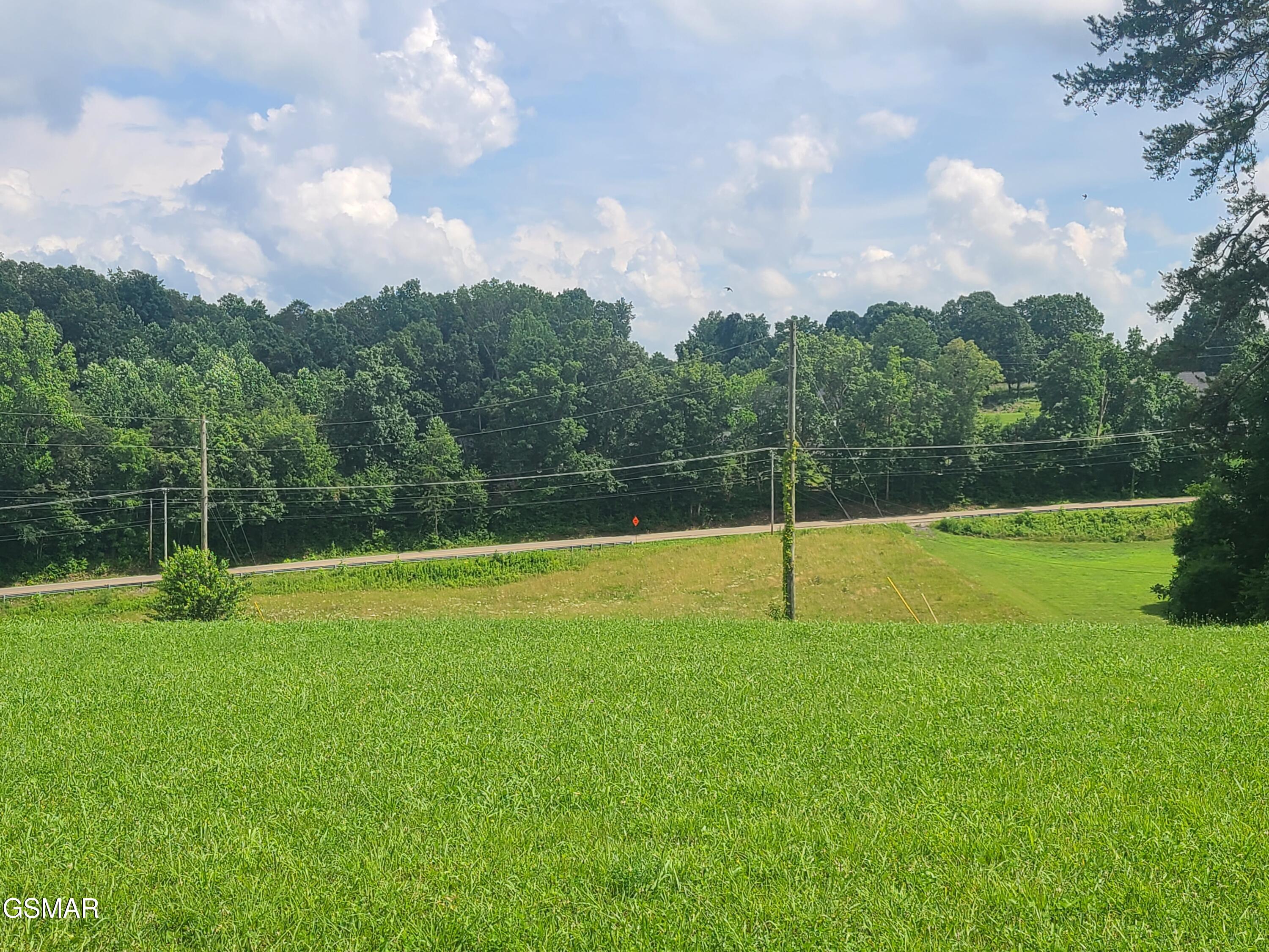 213 Washita Lane Rutledge TN 37861