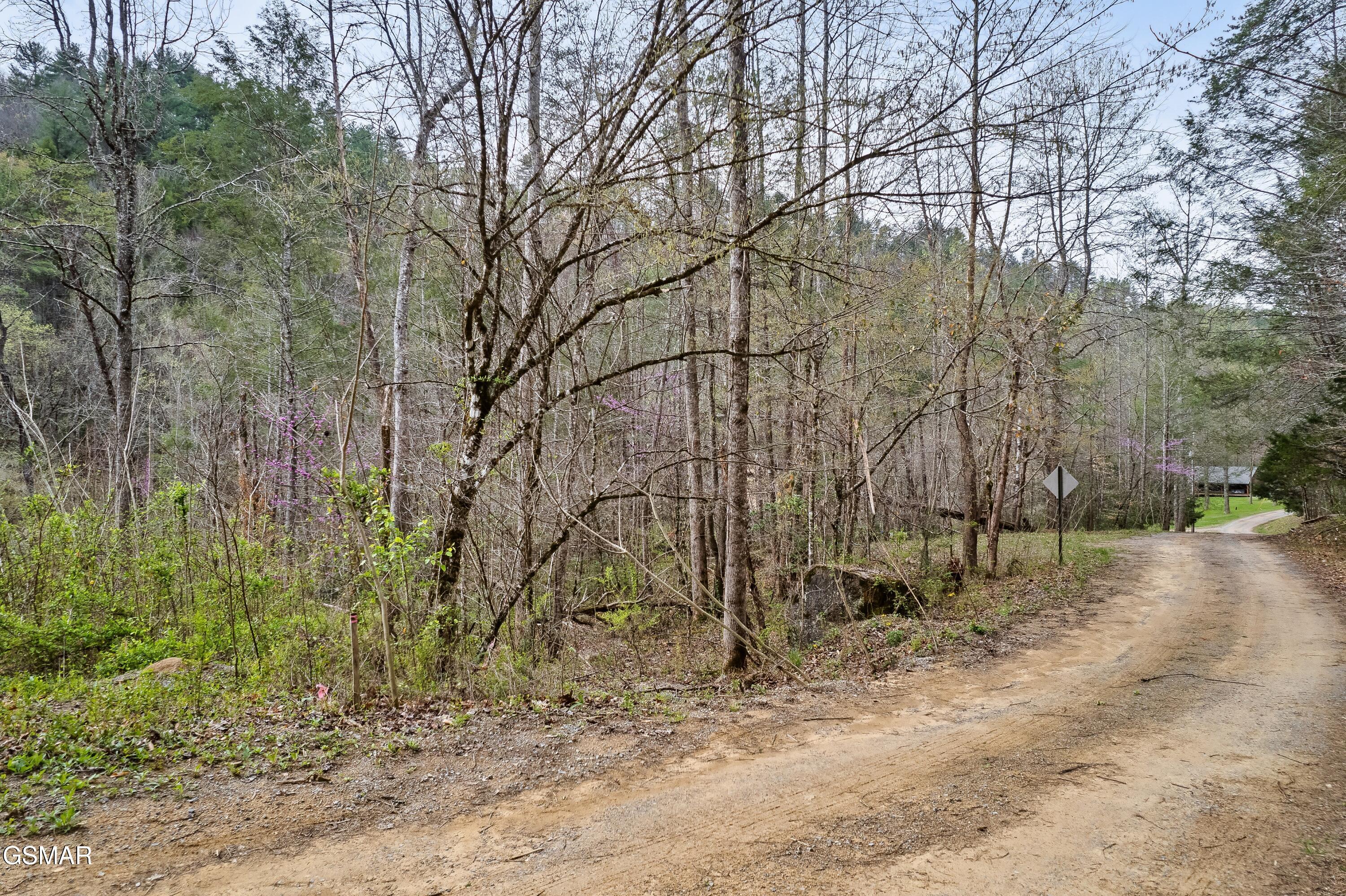 Lot 121 Creek Hollow Way Sevierville TN 37876