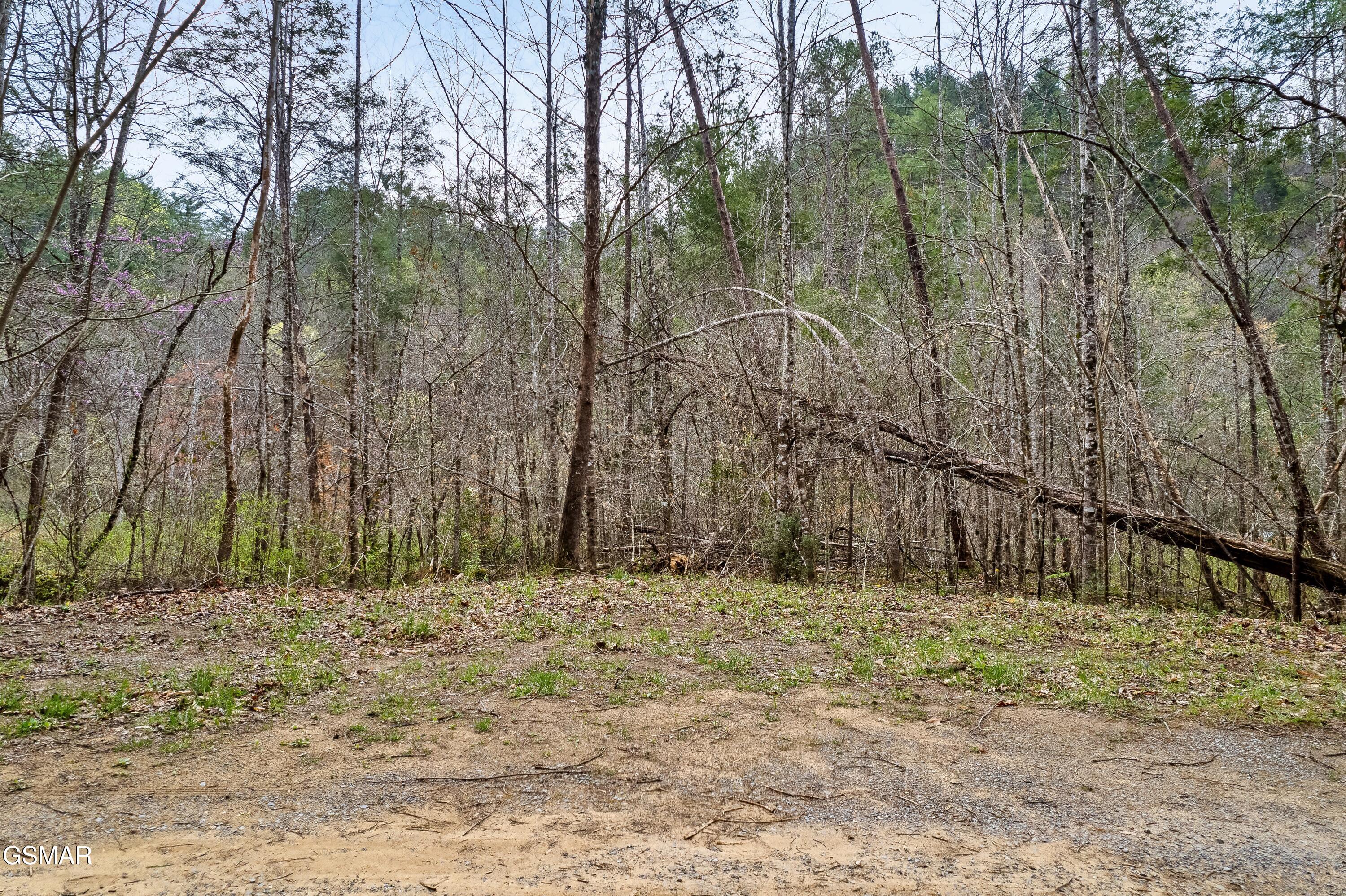 Lot 121 Creek Hollow Way Sevierville TN 37876