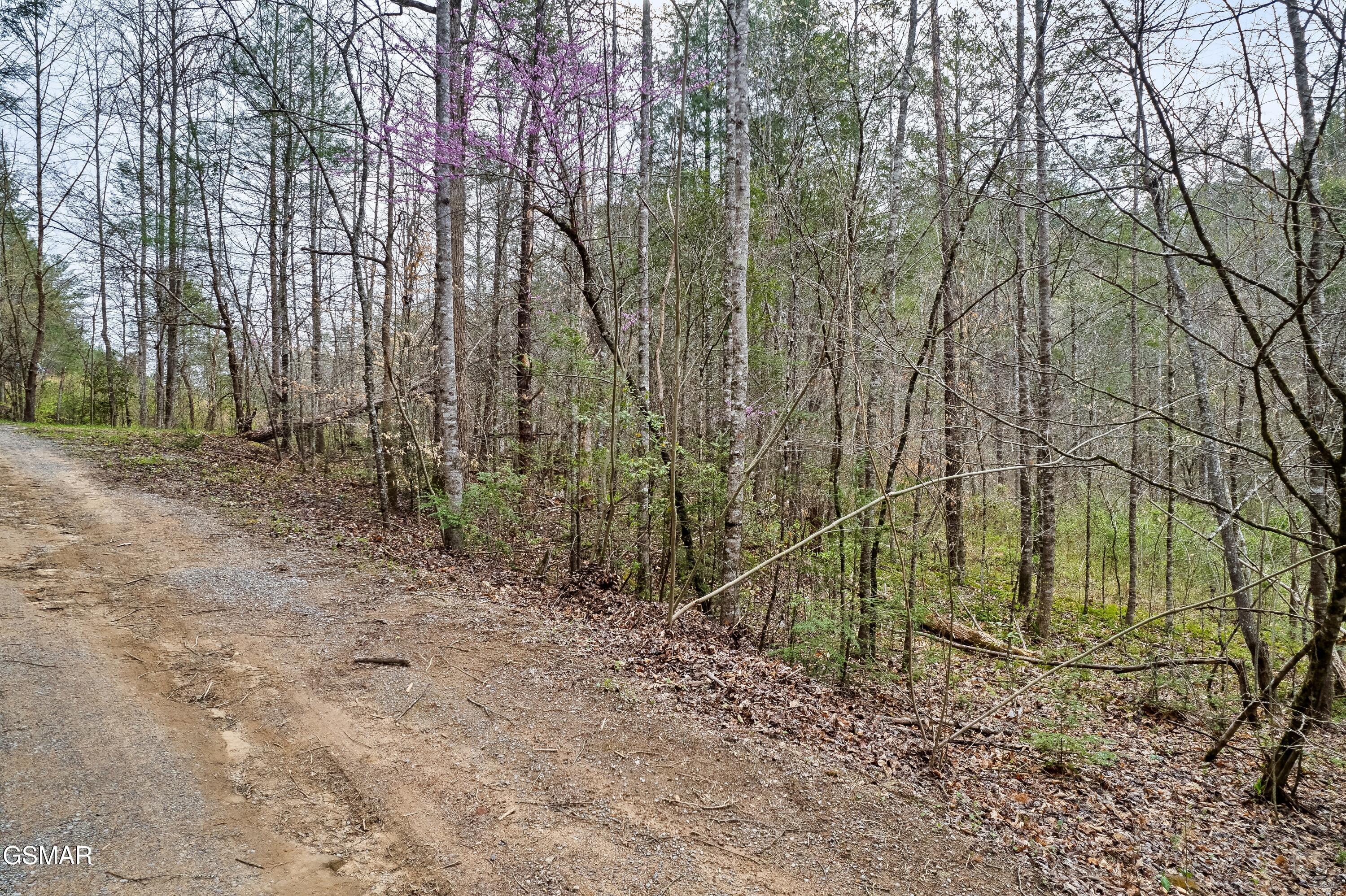 Lot 121 Creek Hollow Way Sevierville TN 37876