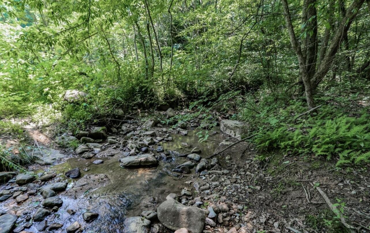 1120 Yellow Springs Road Cosby TN 37722