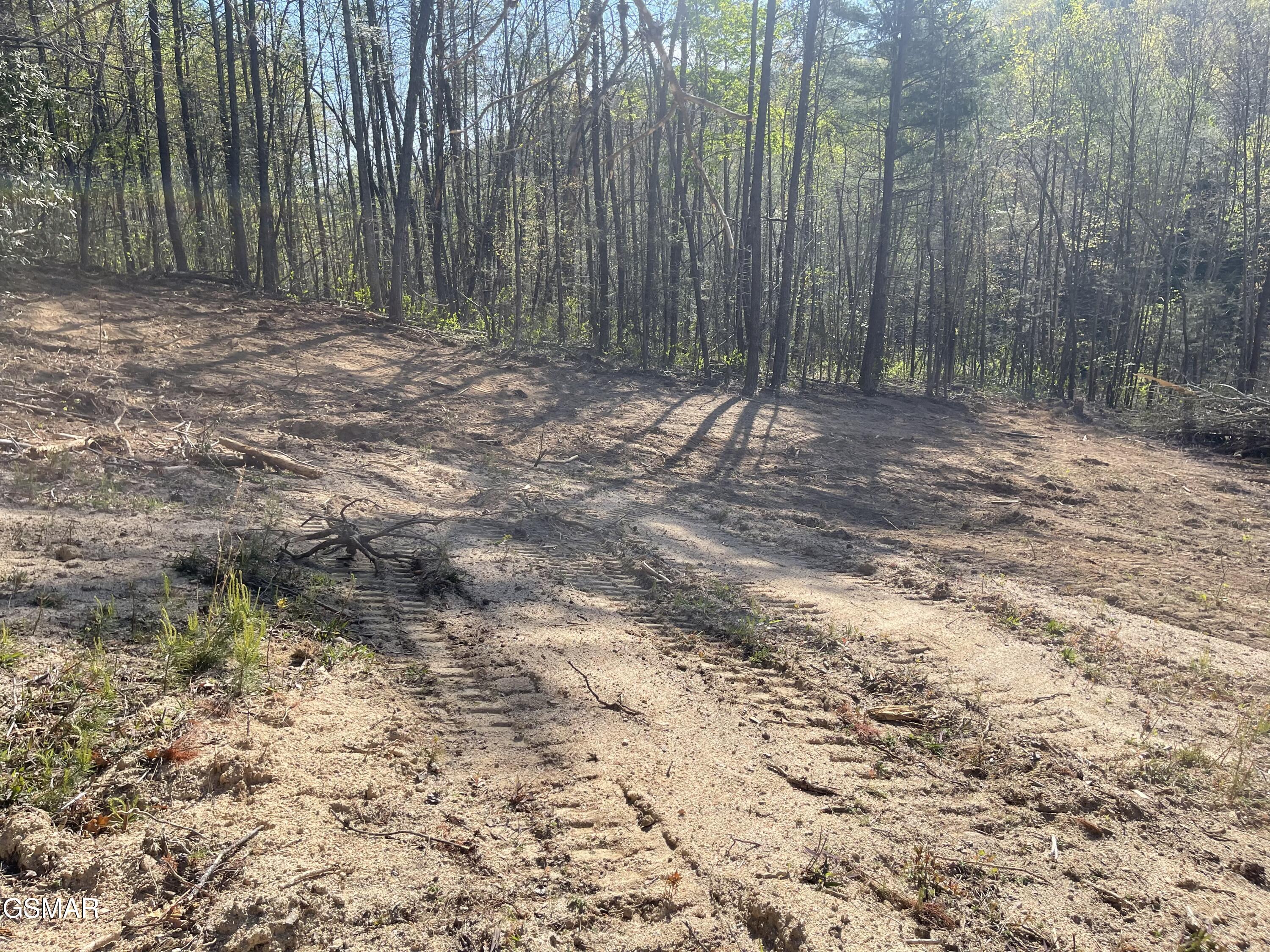 1120 Yellow Springs Road Cosby TN 37722