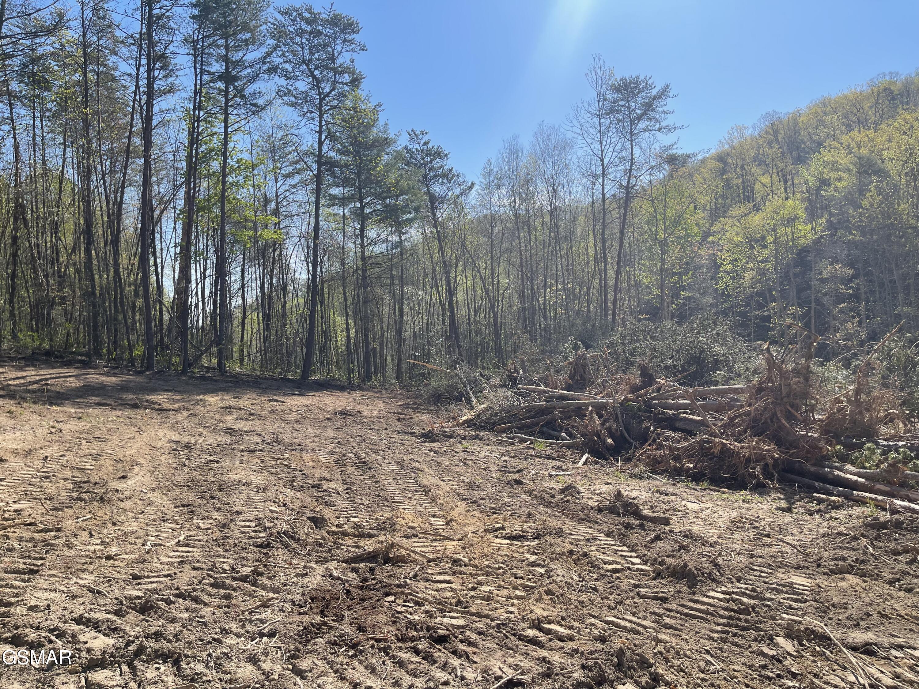 1120 Yellow Springs Road Cosby TN 37722