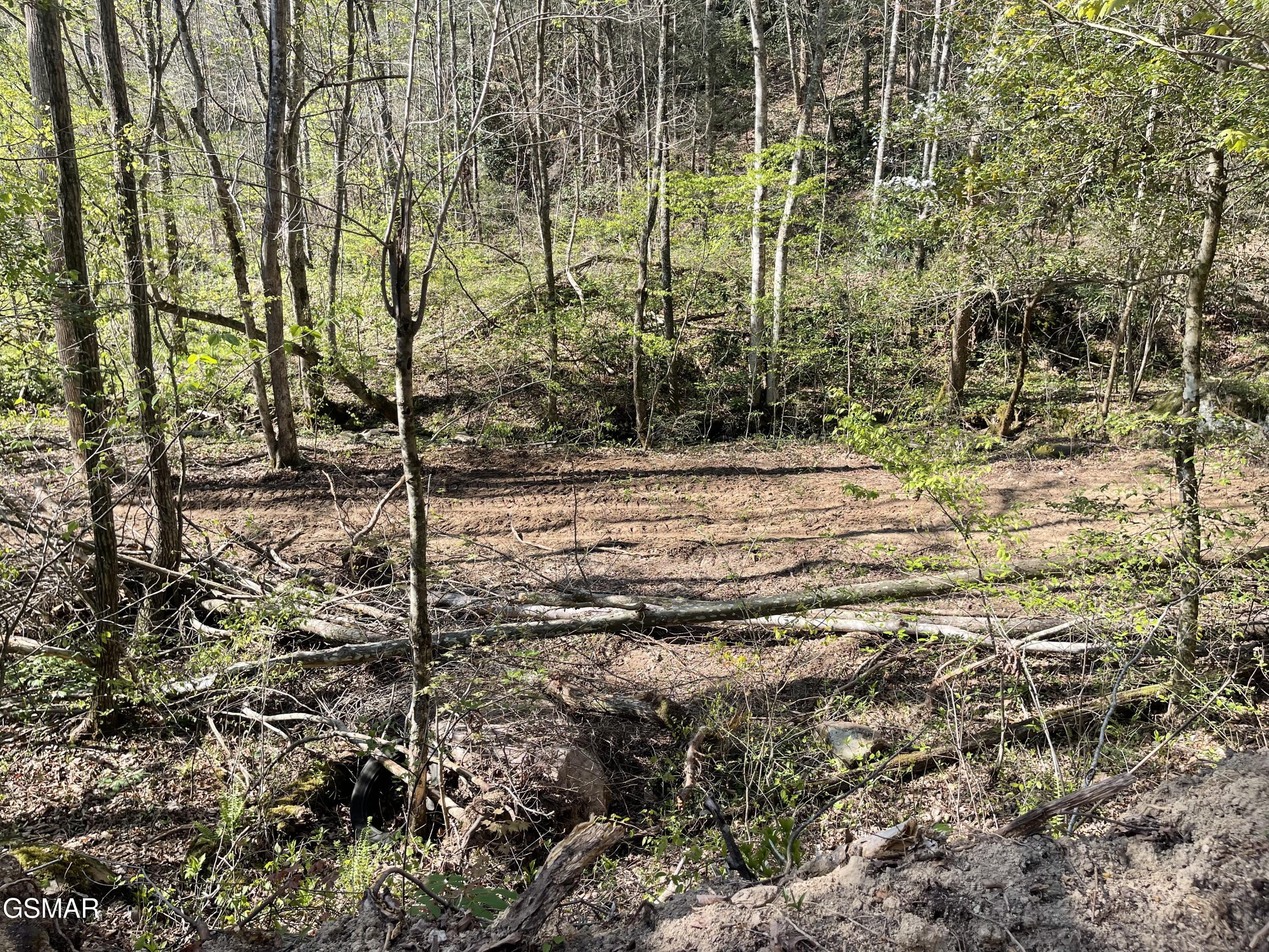 1120 Yellow Springs Road Cosby TN 37722