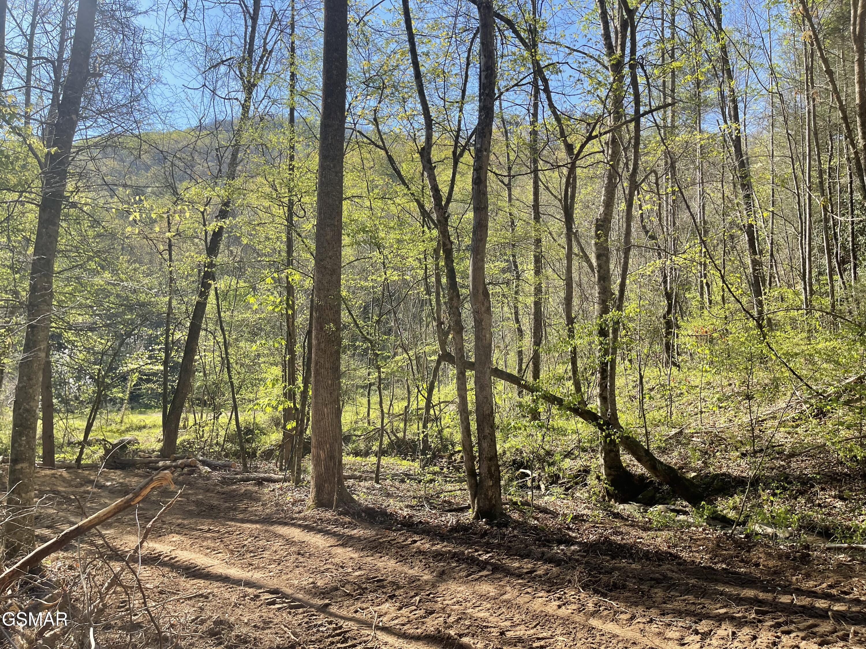 1120 Yellow Springs Road Cosby TN 37722
