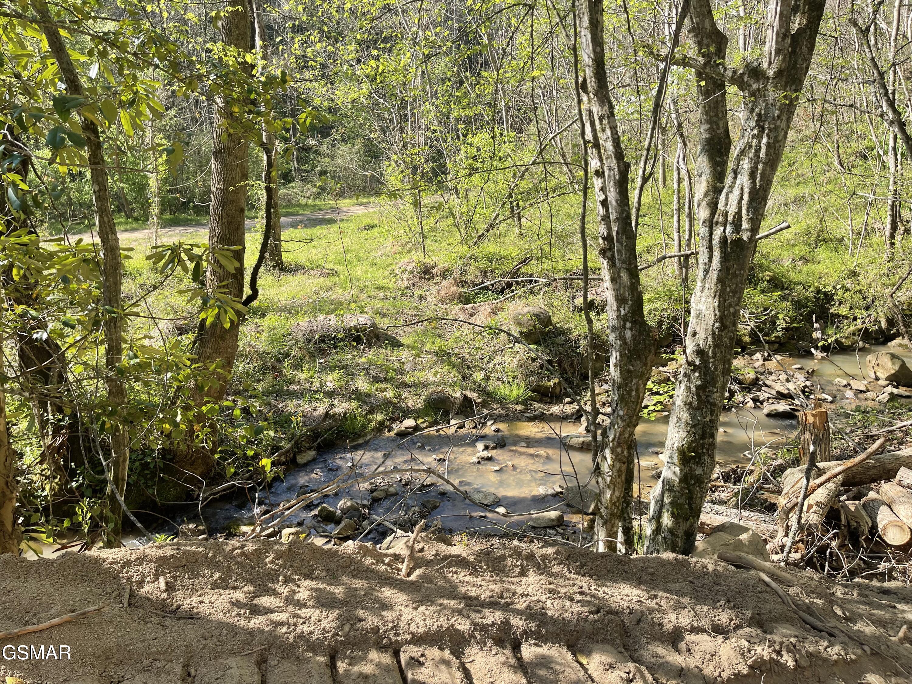 1120 Yellow Springs Road Cosby TN 37722