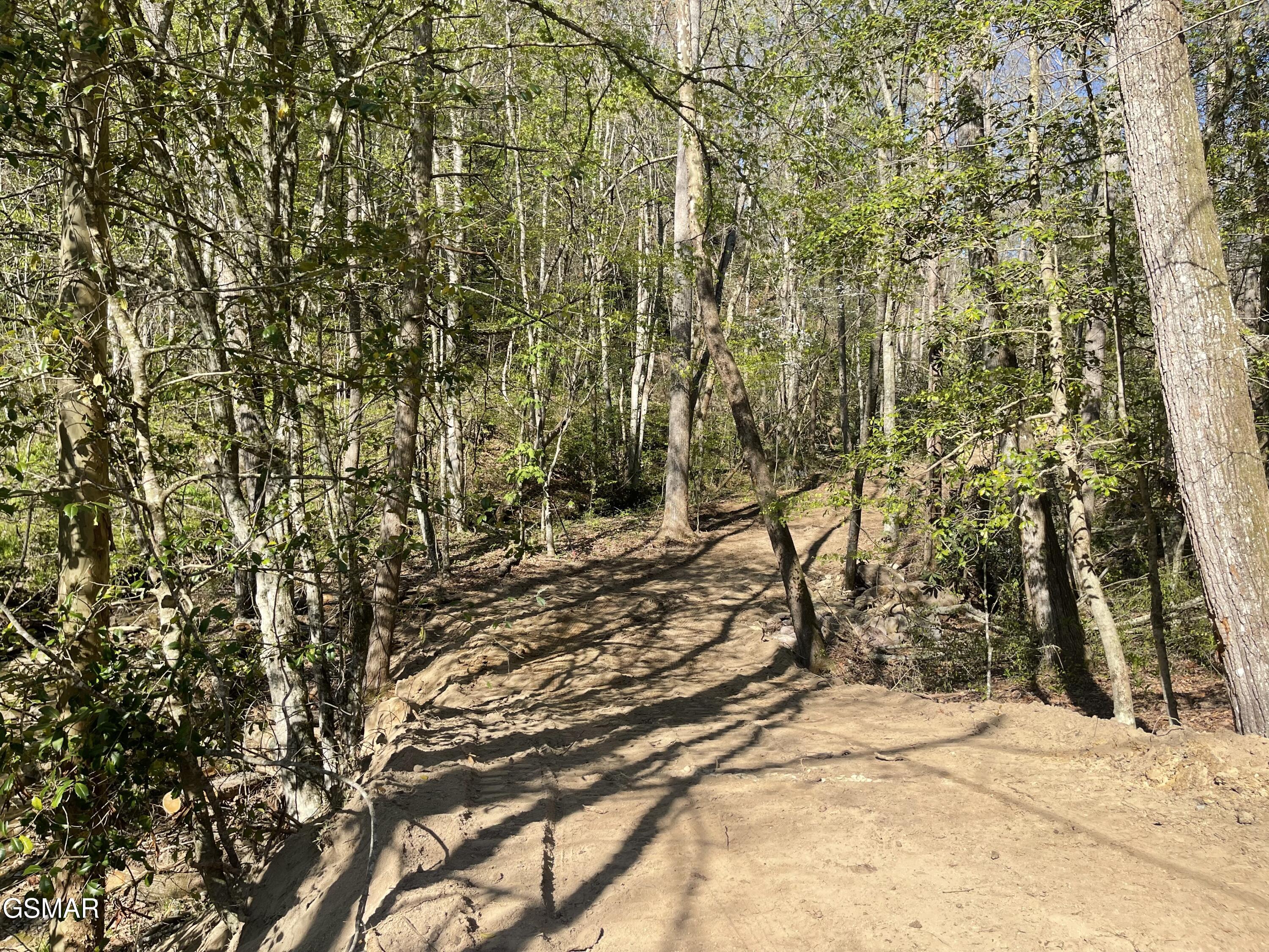 1120 Yellow Springs Road Cosby TN 37722