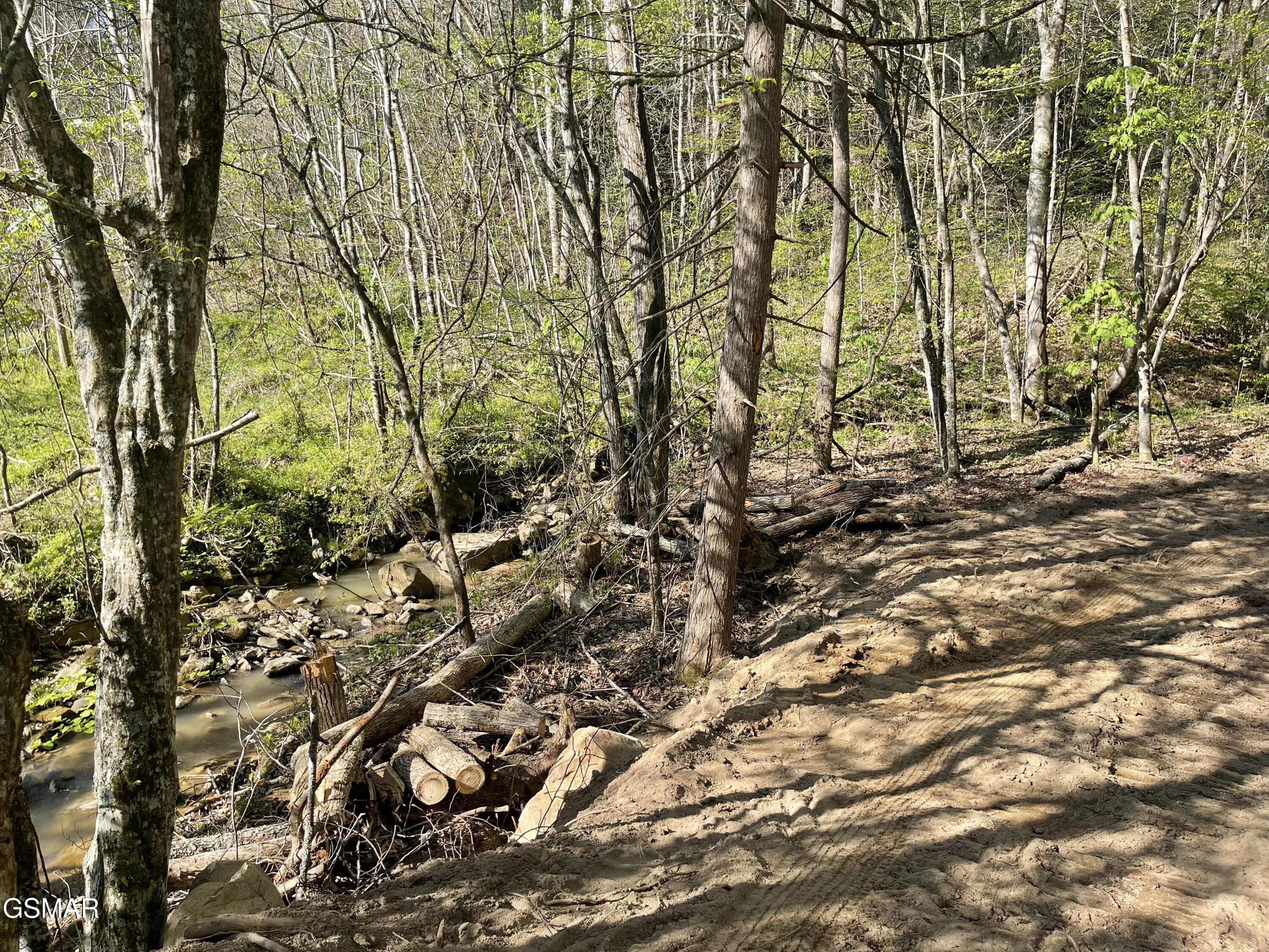 1120 Yellow Springs Road Cosby TN 37722
