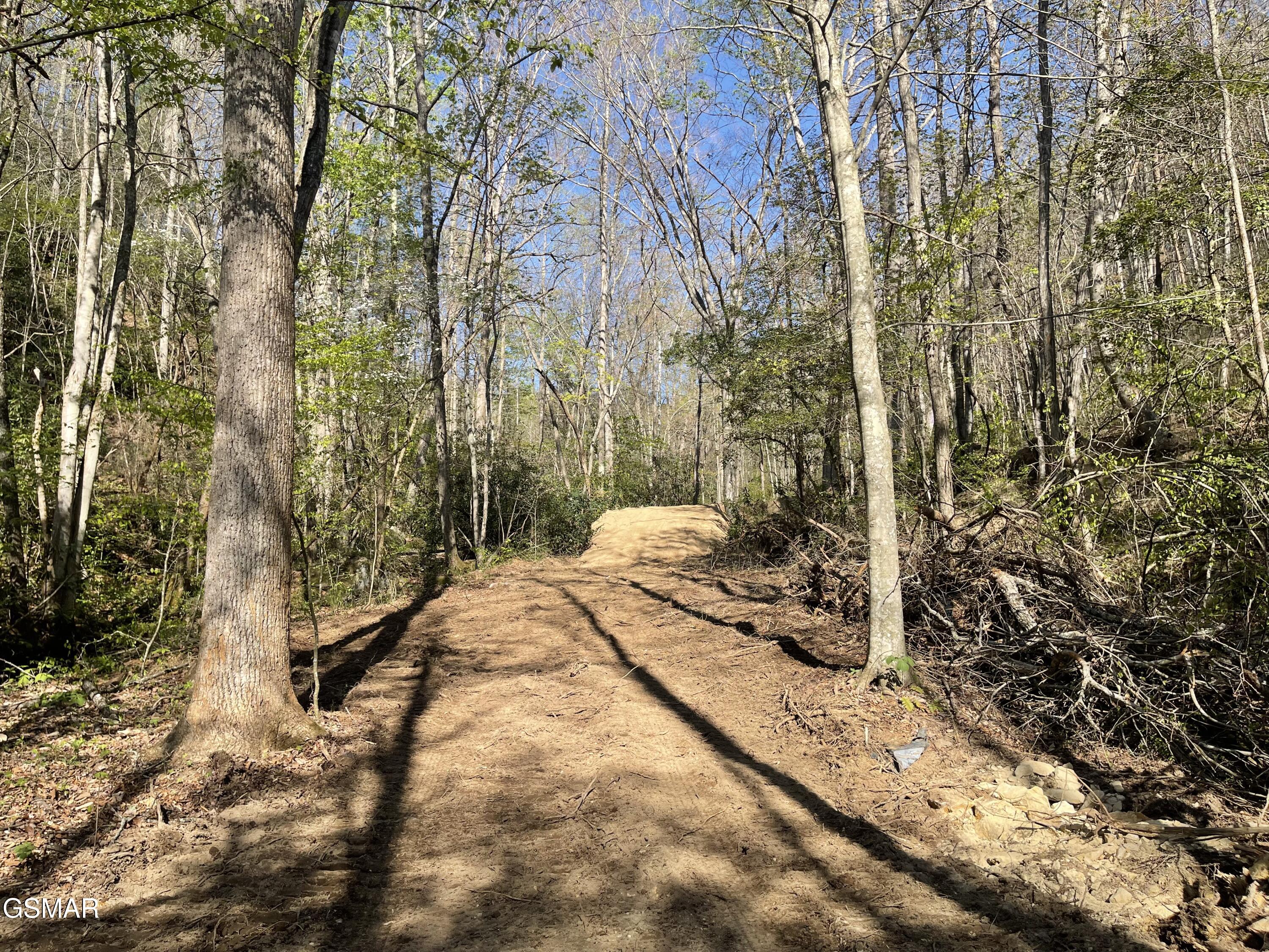 1120 Yellow Springs Road Cosby TN 37722