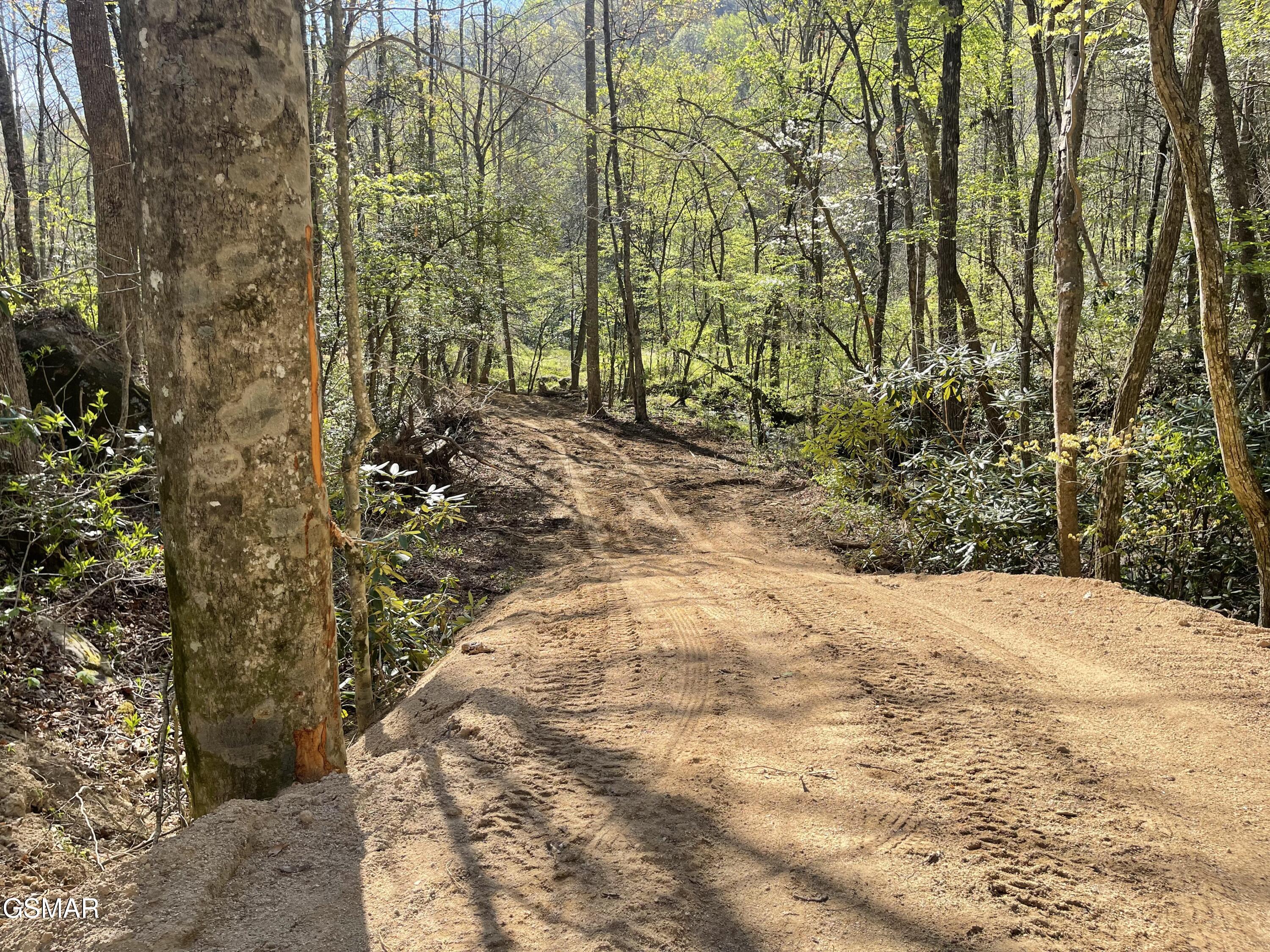 1120 Yellow Springs Road Cosby TN 37722