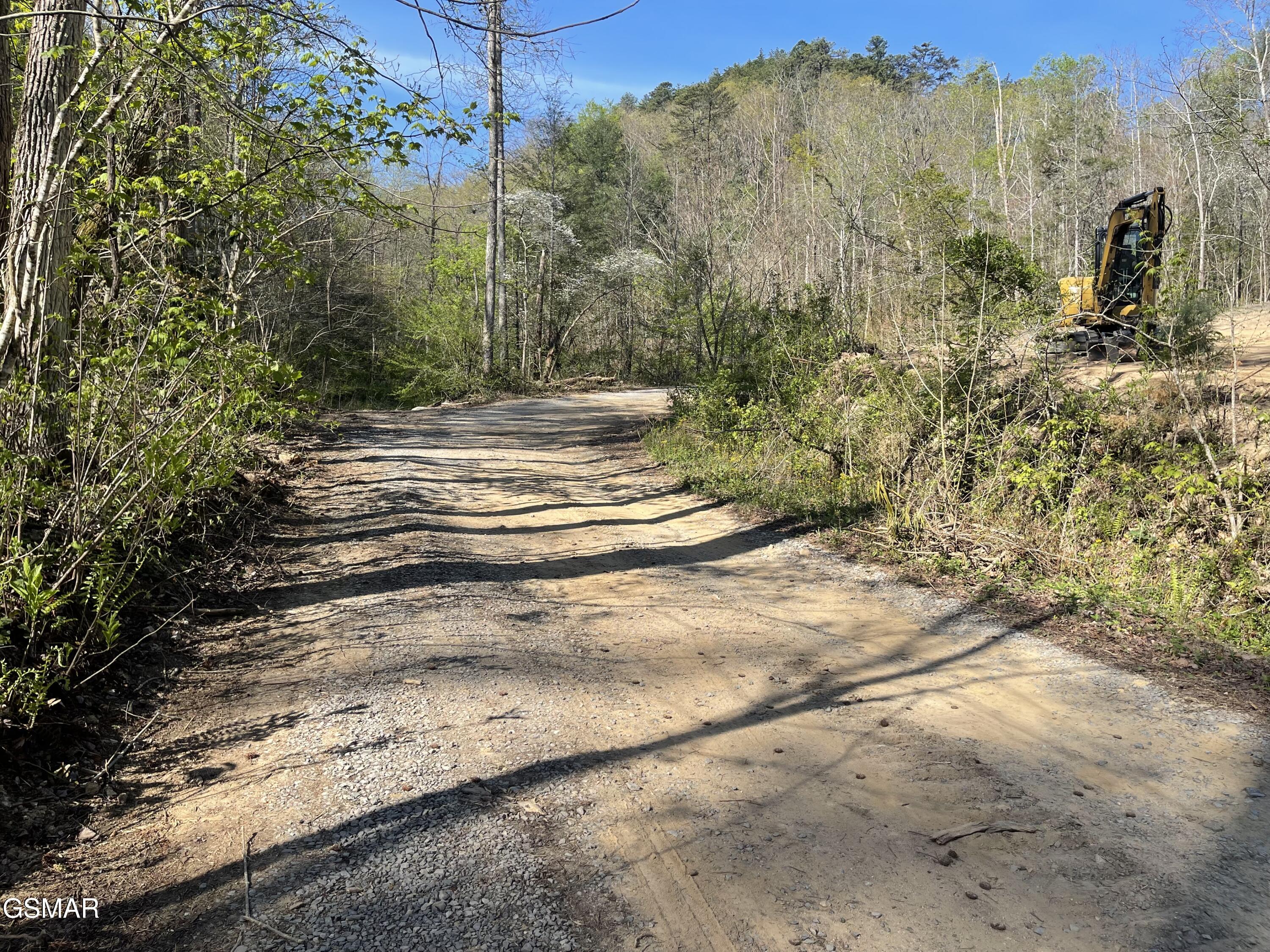 1120 Yellow Springs Road Cosby TN 37722