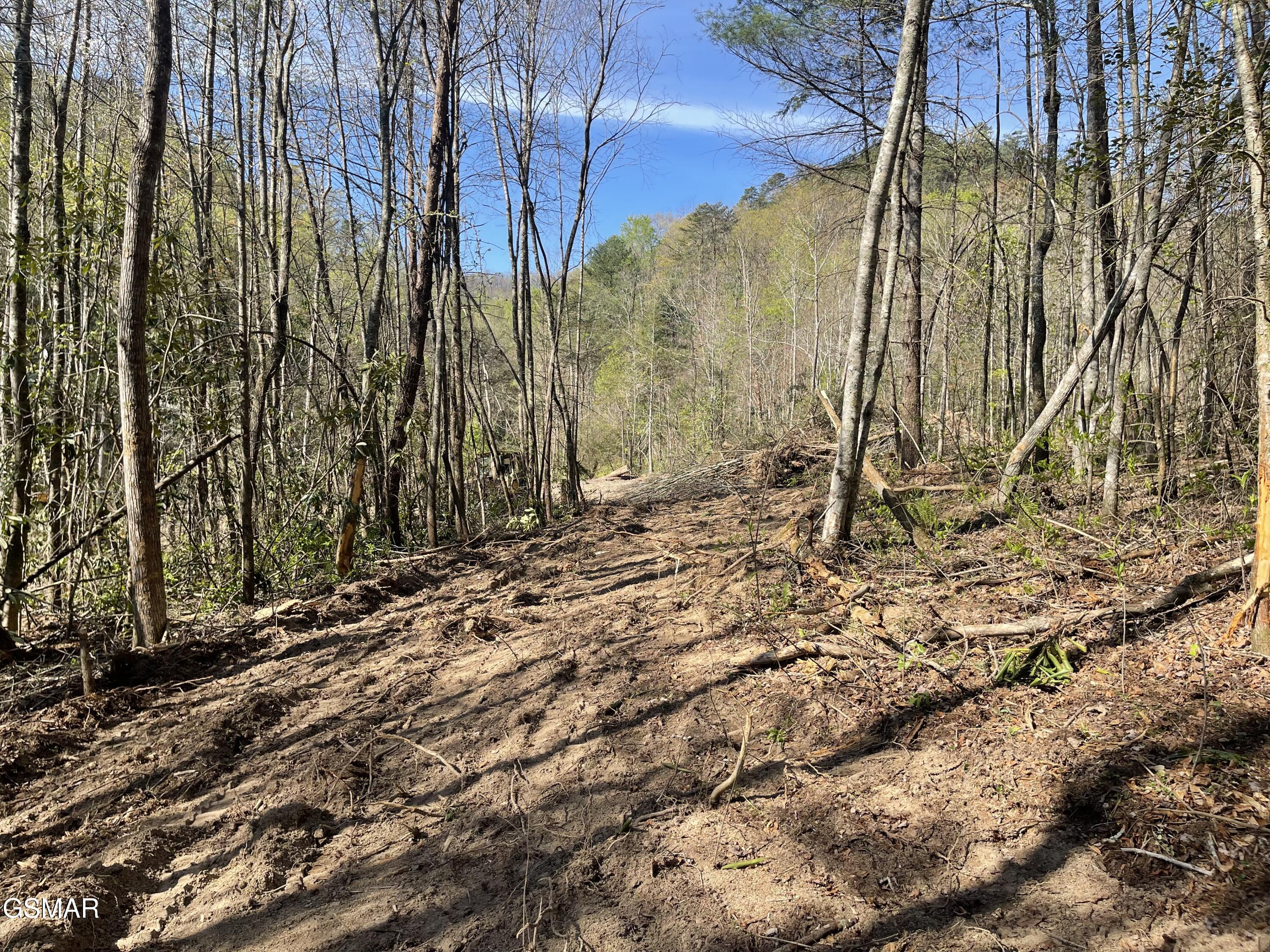 1120 Yellow Springs Road Cosby TN 37722