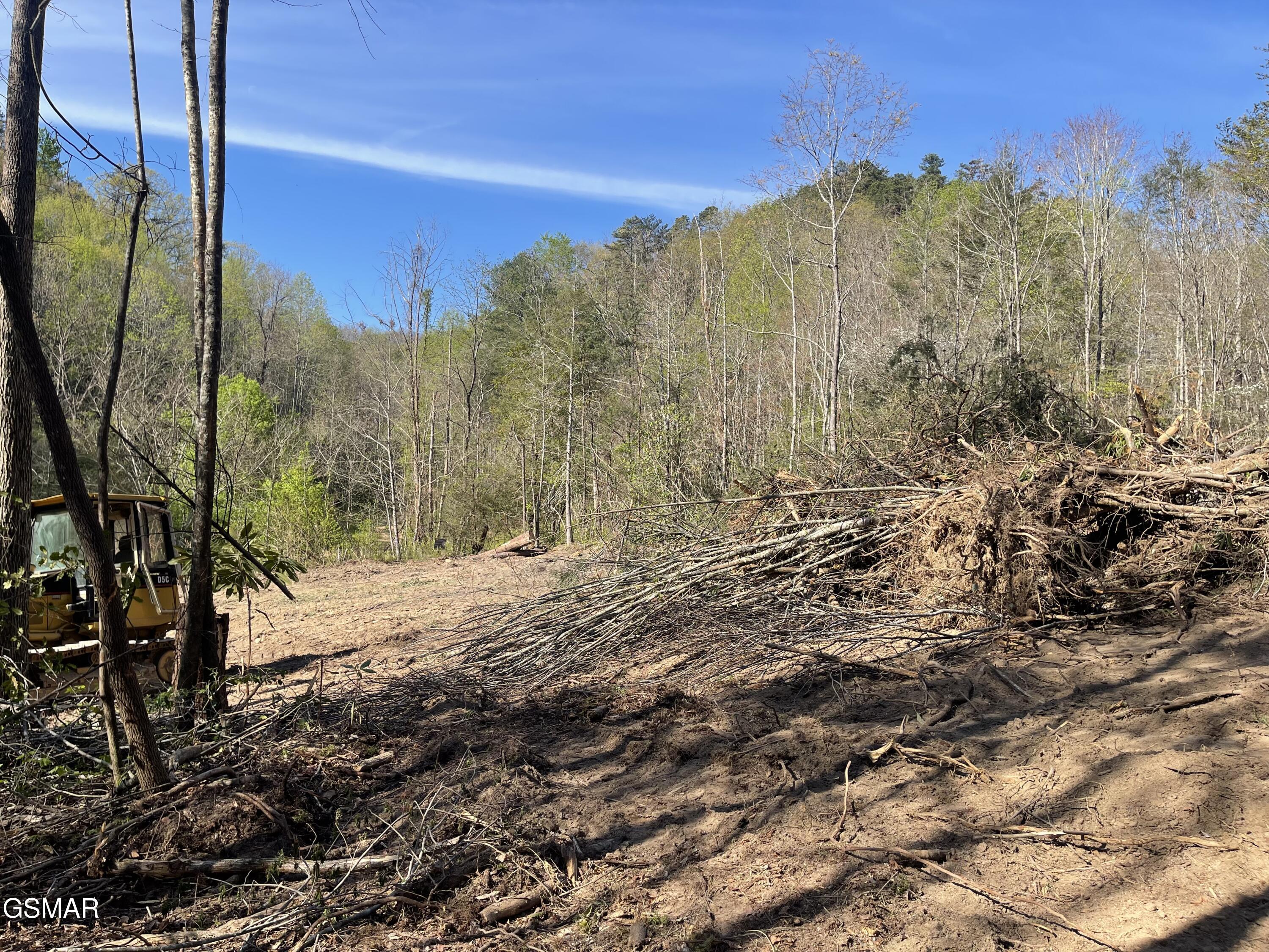 1120 Yellow Springs Road Cosby TN 37722