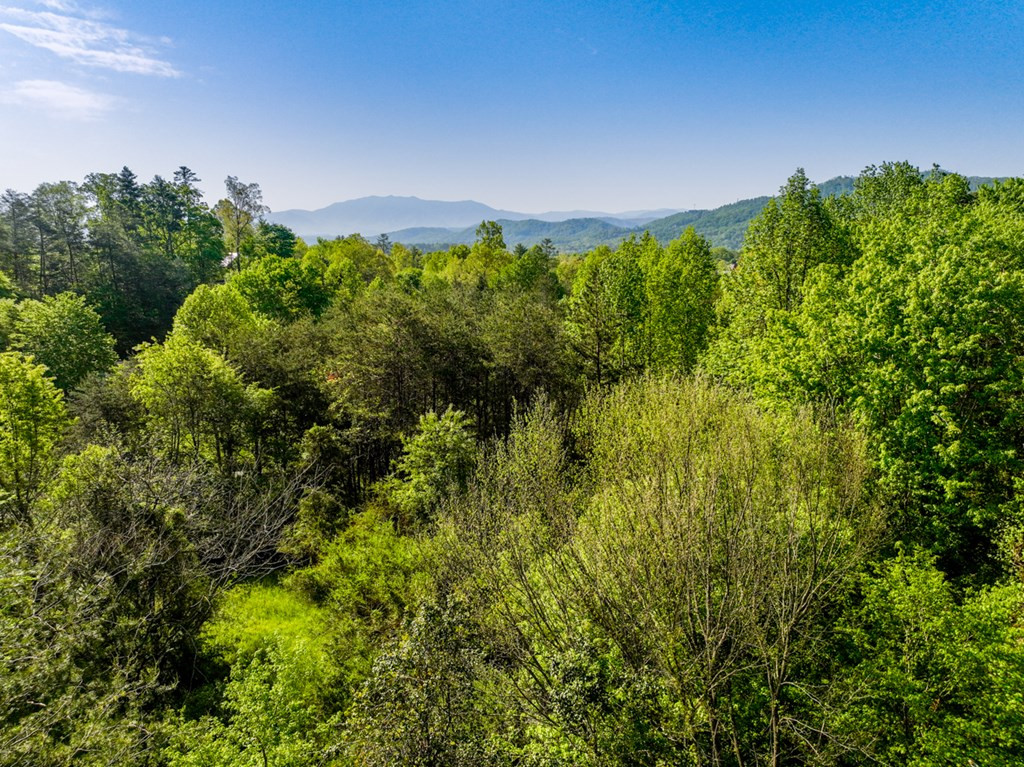 1140 Crestview Drive Pigeon Forge TN 37863