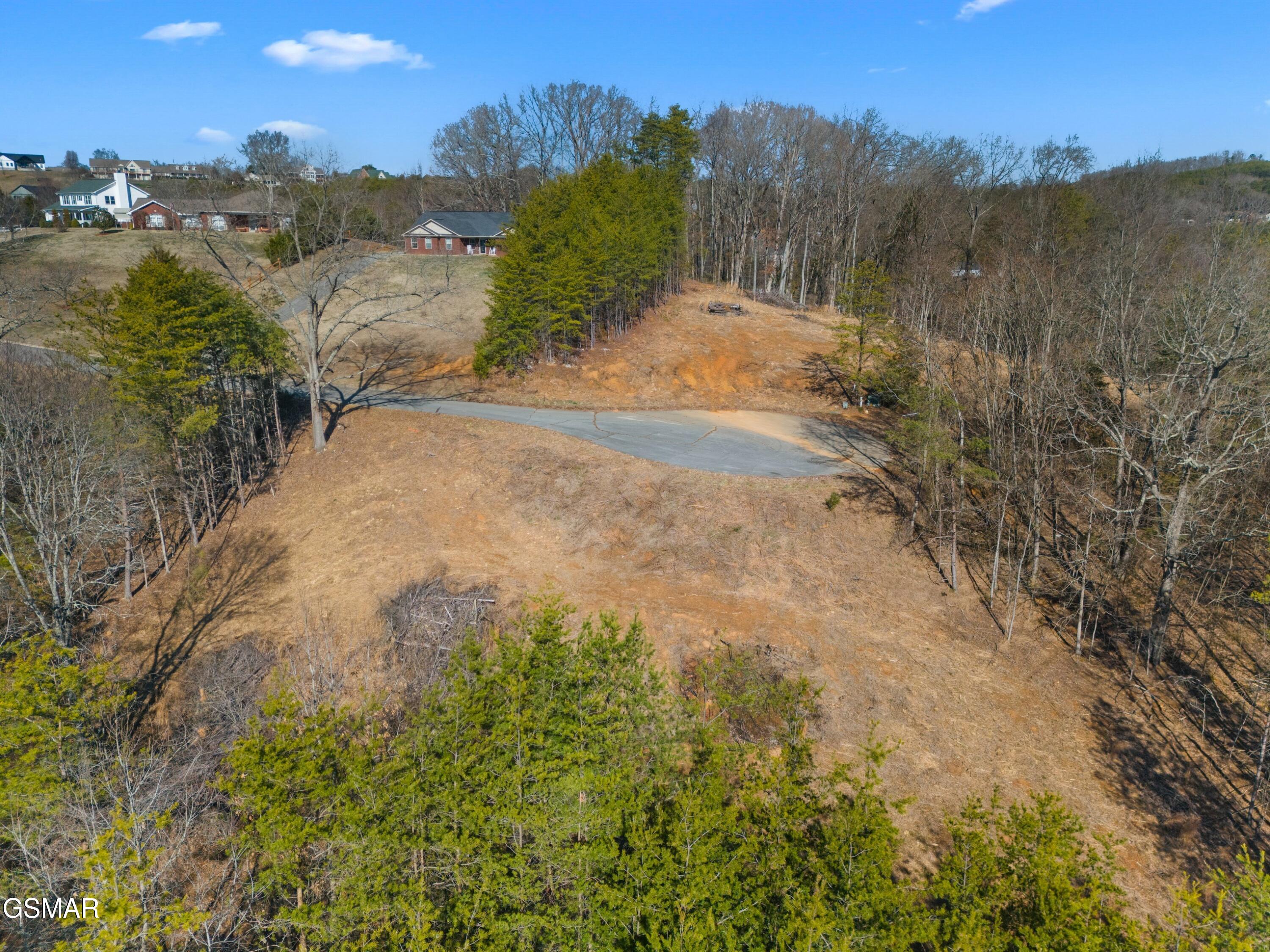 Lot 53 Kenneth Overlook Kodak TN 37764