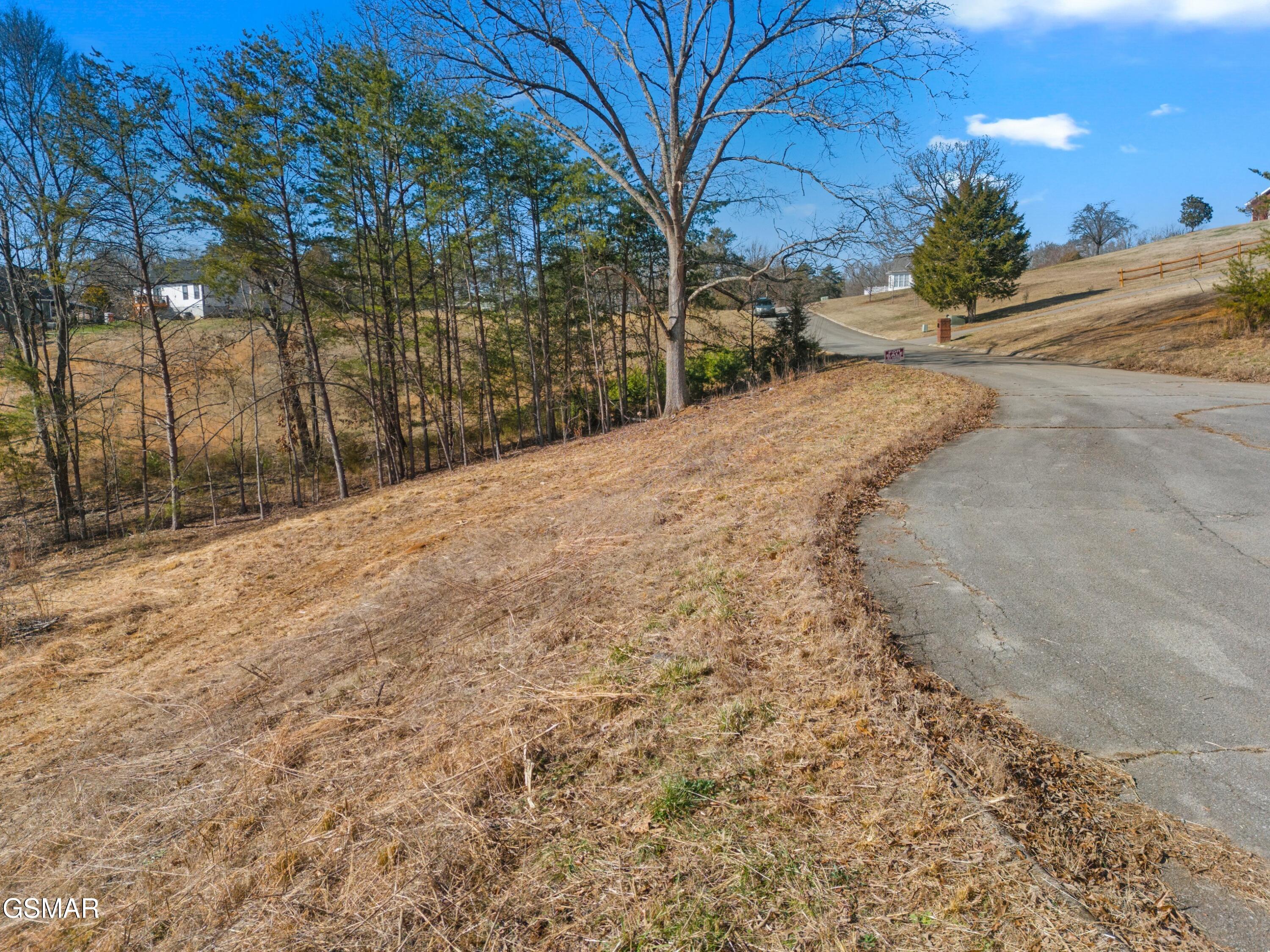 Lot 53 Kenneth Overlook Kodak TN 37764