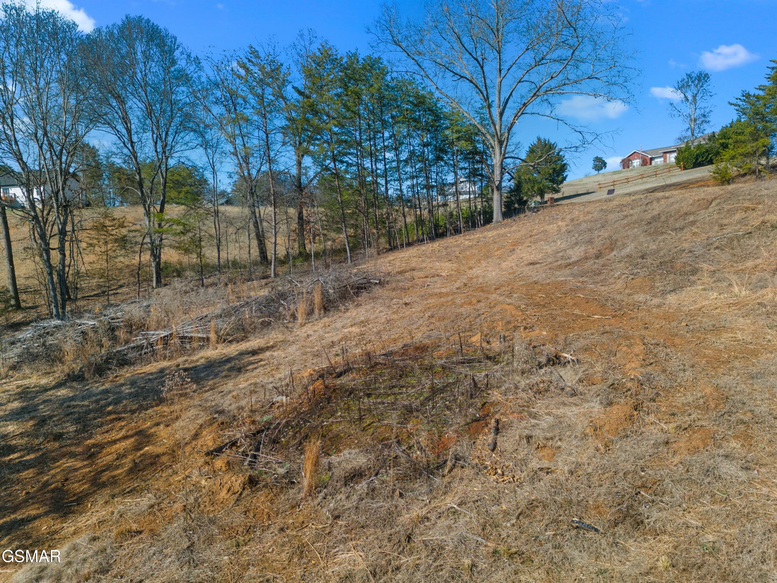 Lot 53 Kenneth Overlook Kodak TN 37764