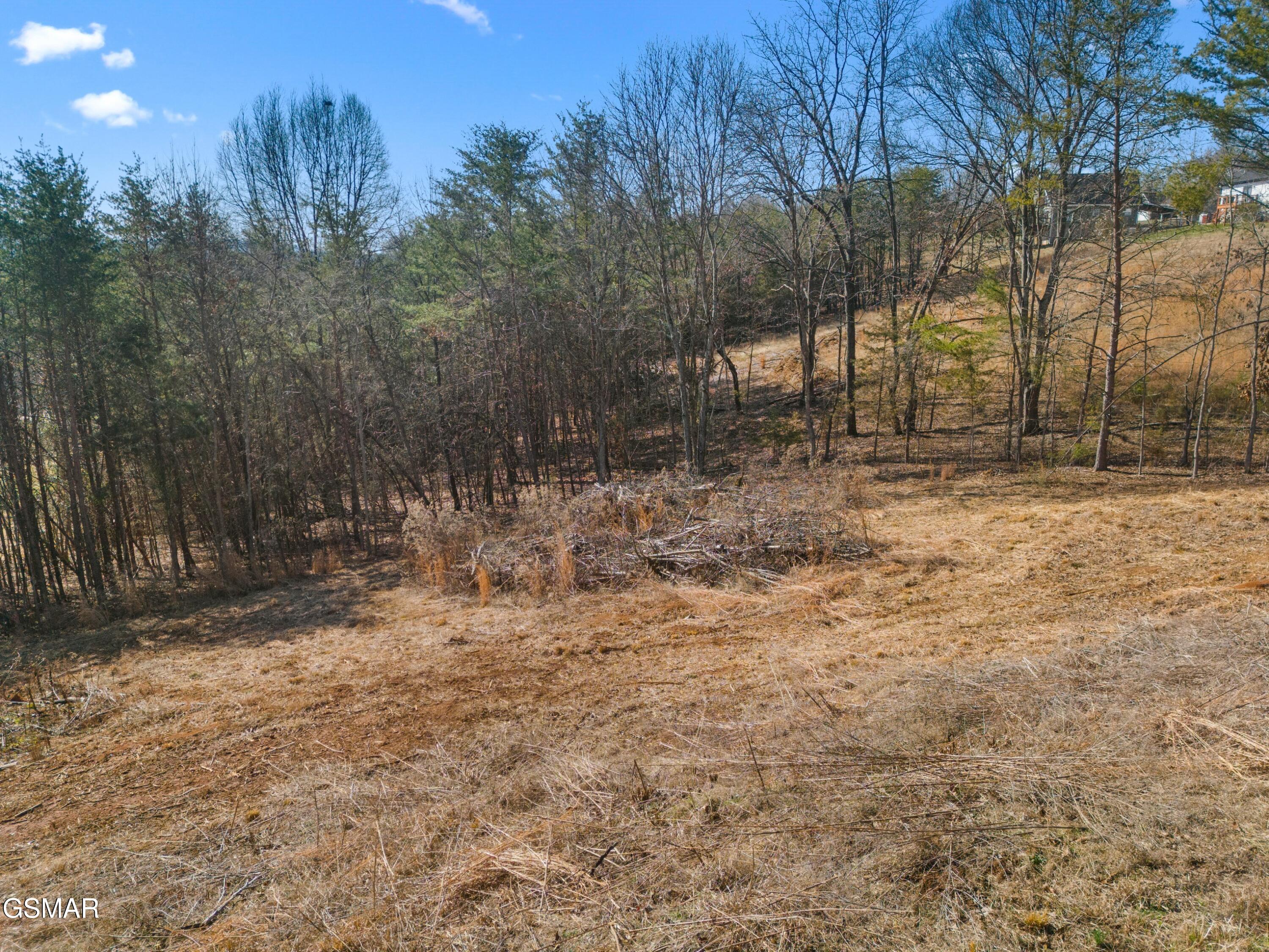 Lot 53 Kenneth Overlook Kodak TN 37764