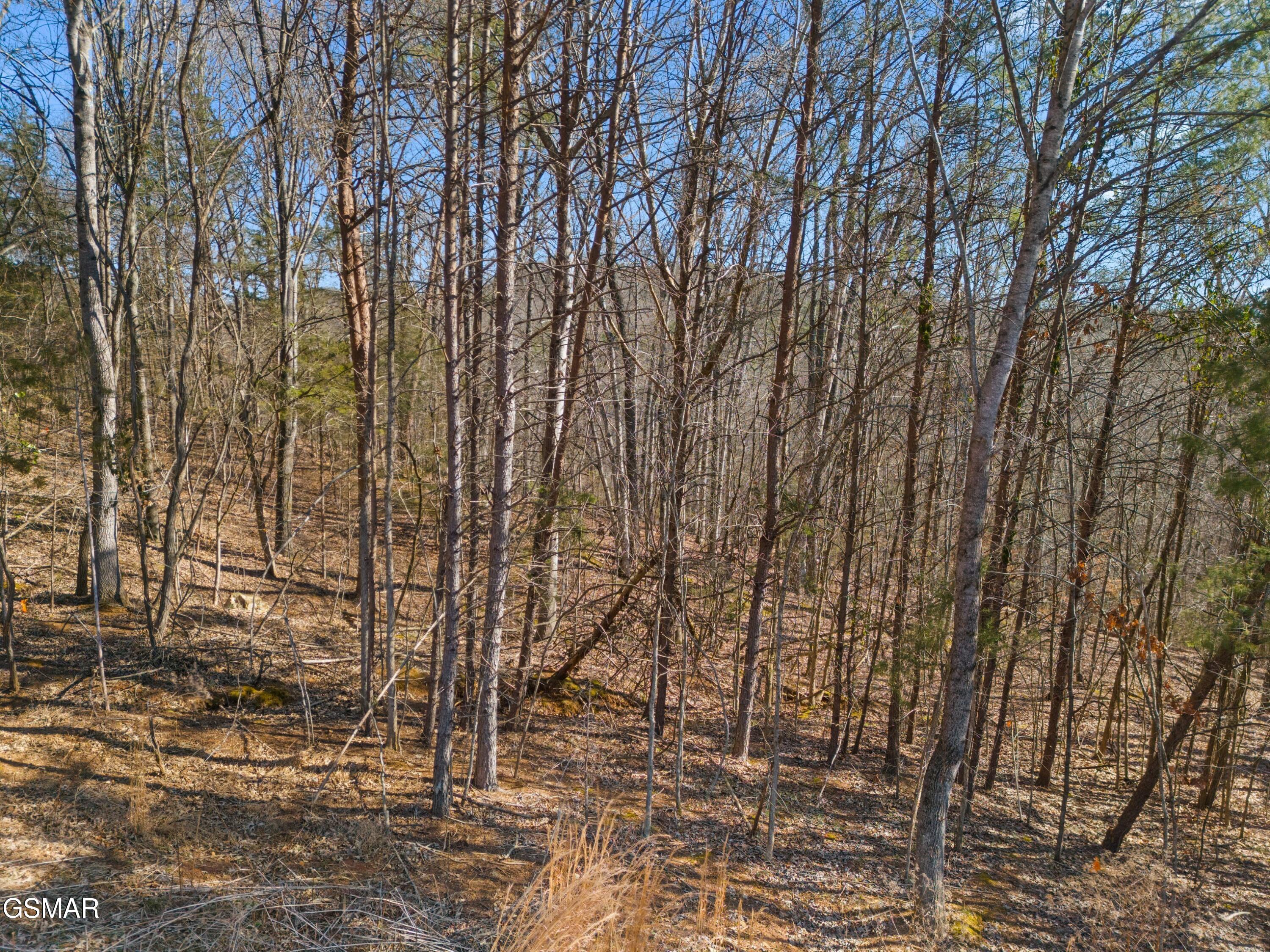 Lot 53 Kenneth Overlook Kodak TN 37764