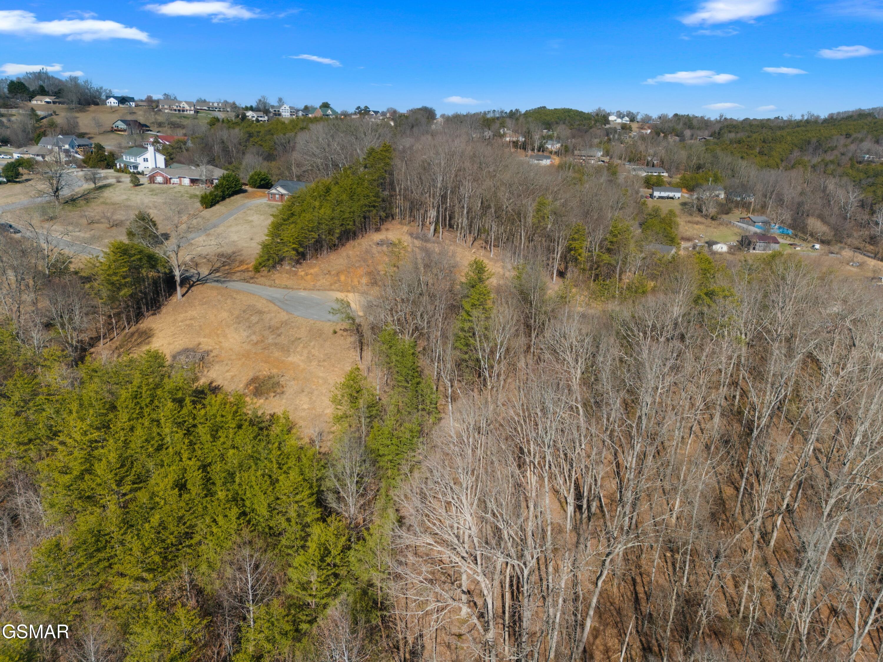 Lot 53 Kenneth Overlook Kodak TN 37764