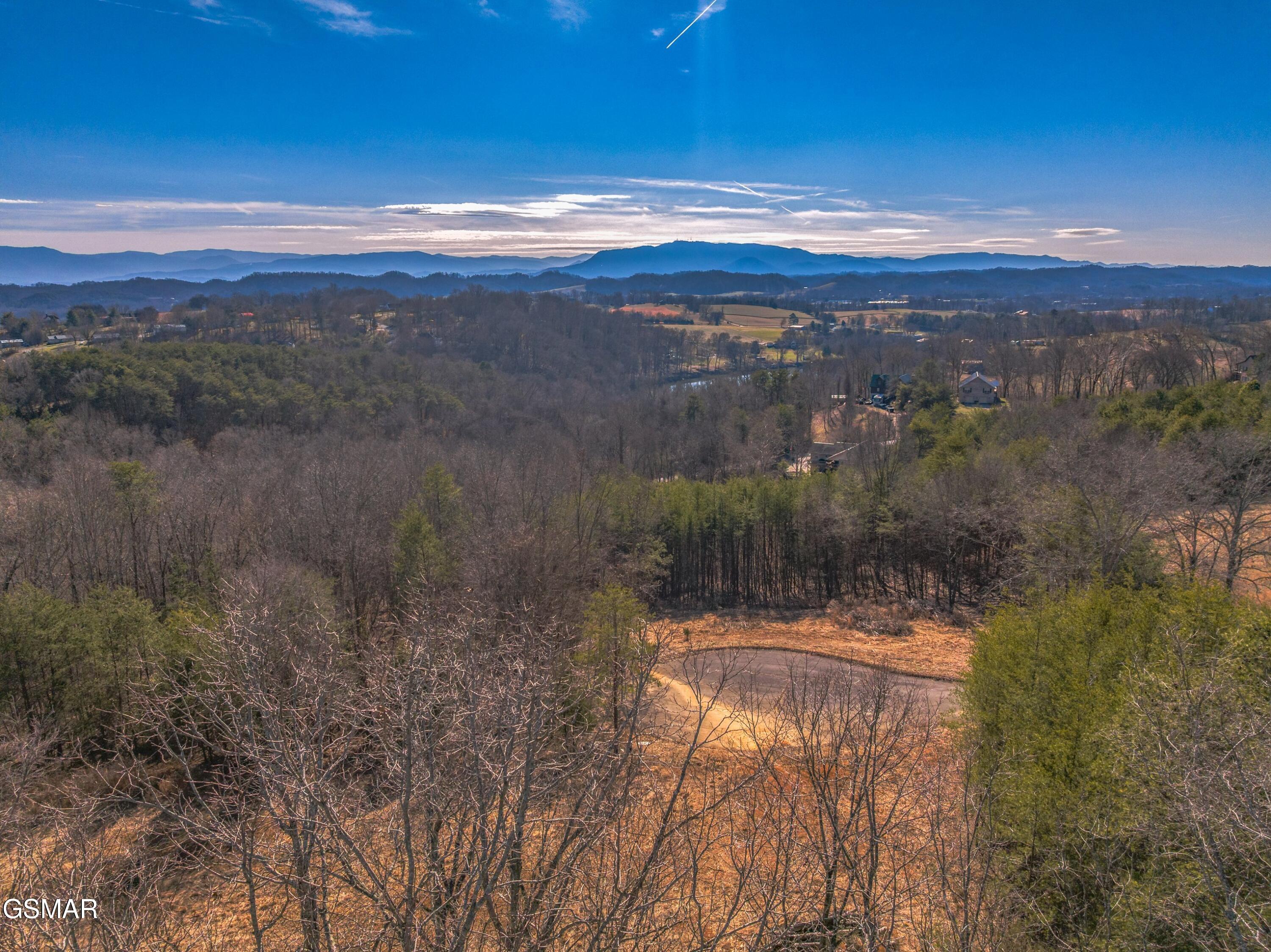 Lot 53 Kenneth Overlook Kodak TN 37764