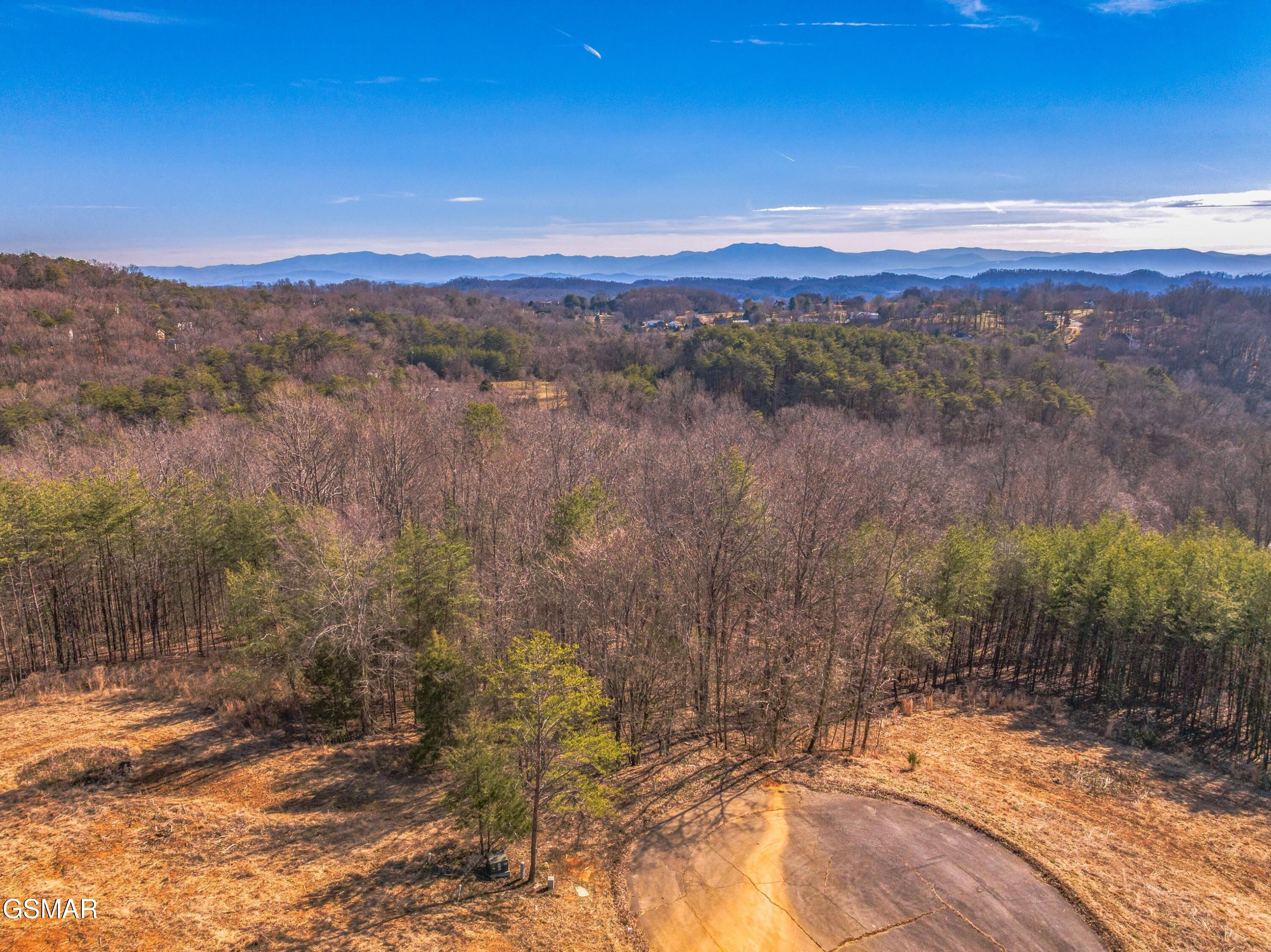 Lot 53 Kenneth Overlook Kodak TN 37764