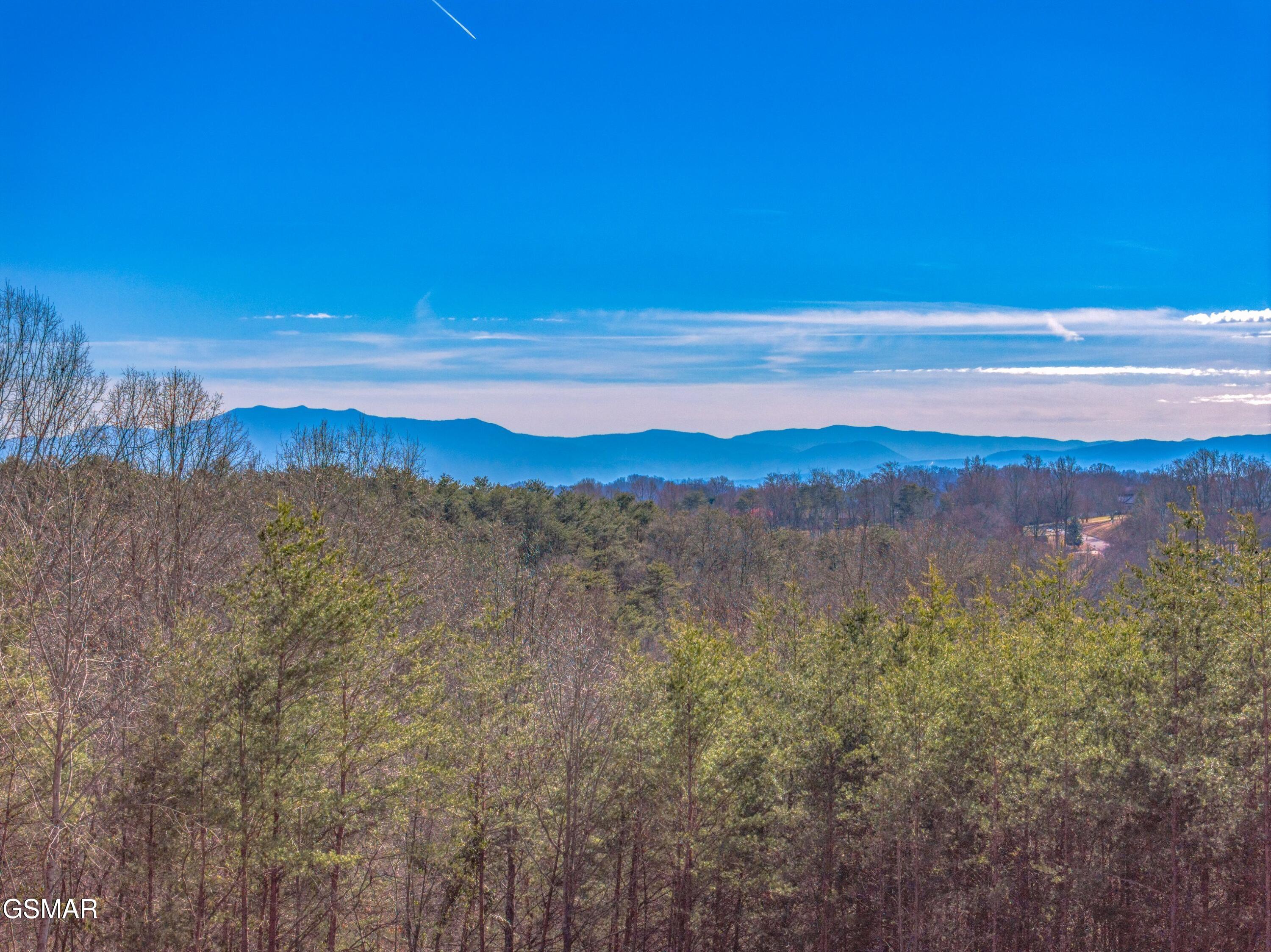 Lot 53 Kenneth Overlook Kodak TN 37764