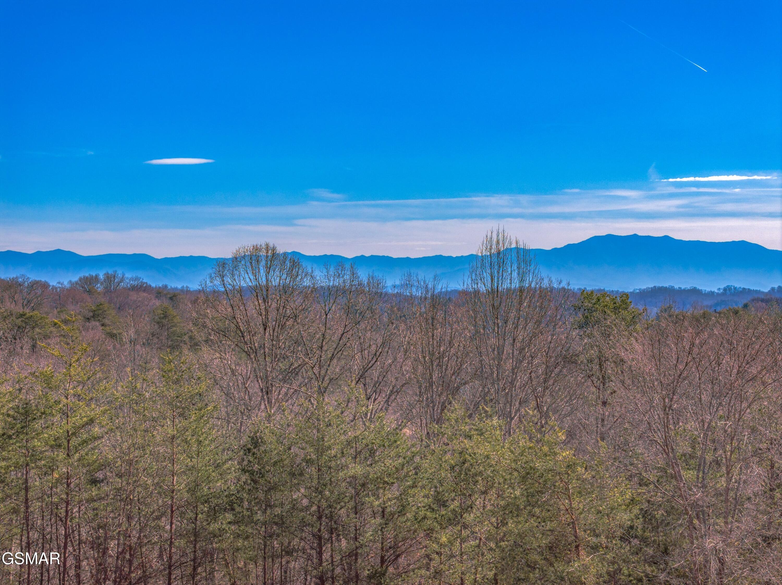 Lot 53 Kenneth Overlook Kodak TN 37764