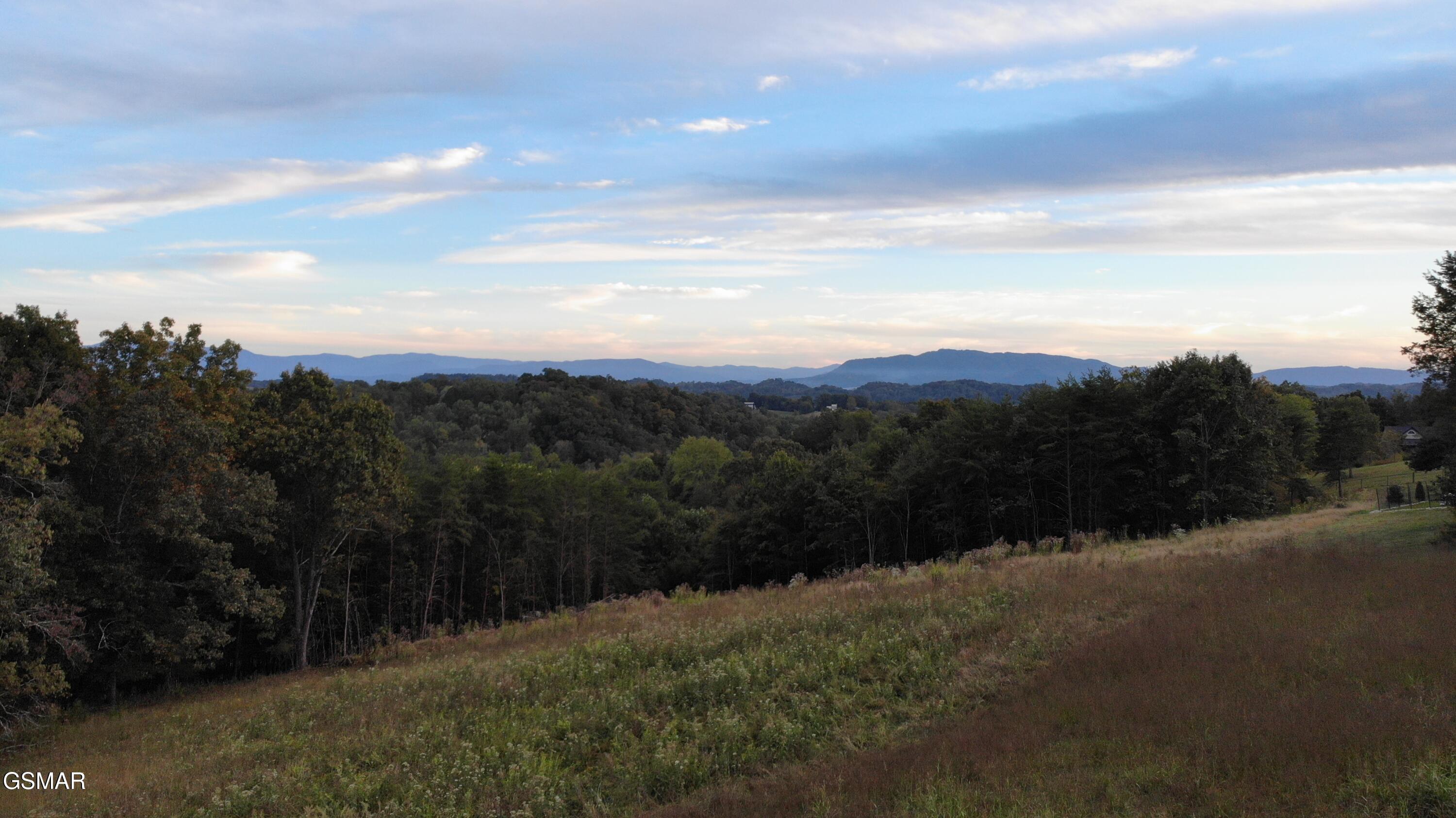 Lot 53 Kenneth Overlook Kodak TN 37764