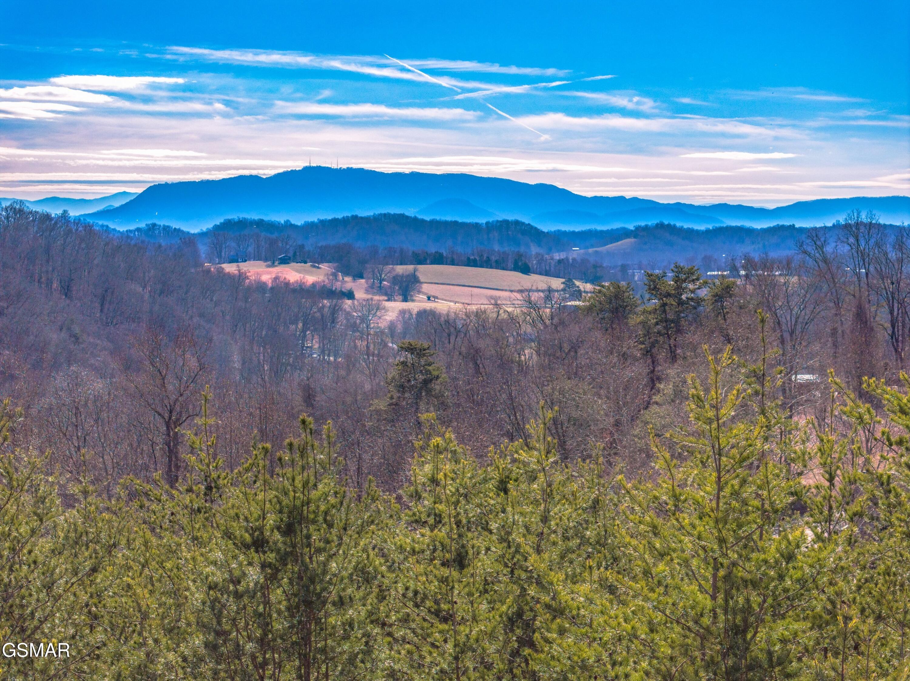 Lot 53 Kenneth Overlook Kodak TN 37764