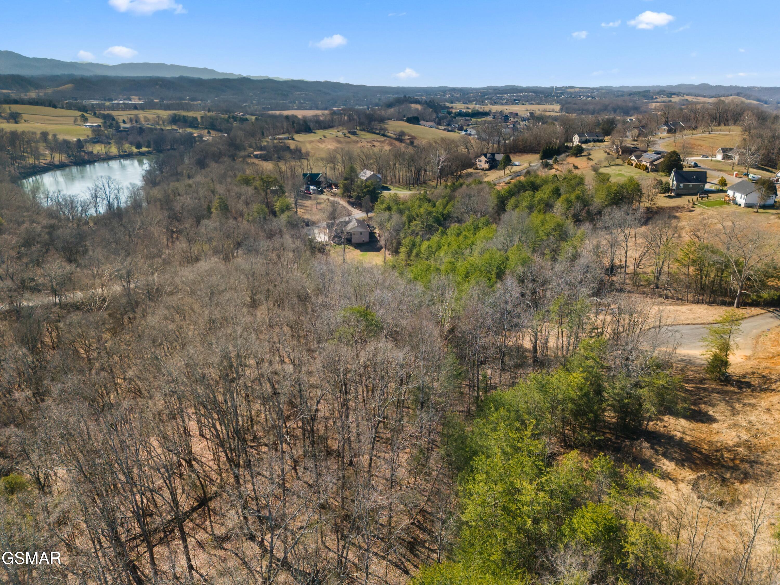 Lot 53 Kenneth Overlook Kodak TN 37764