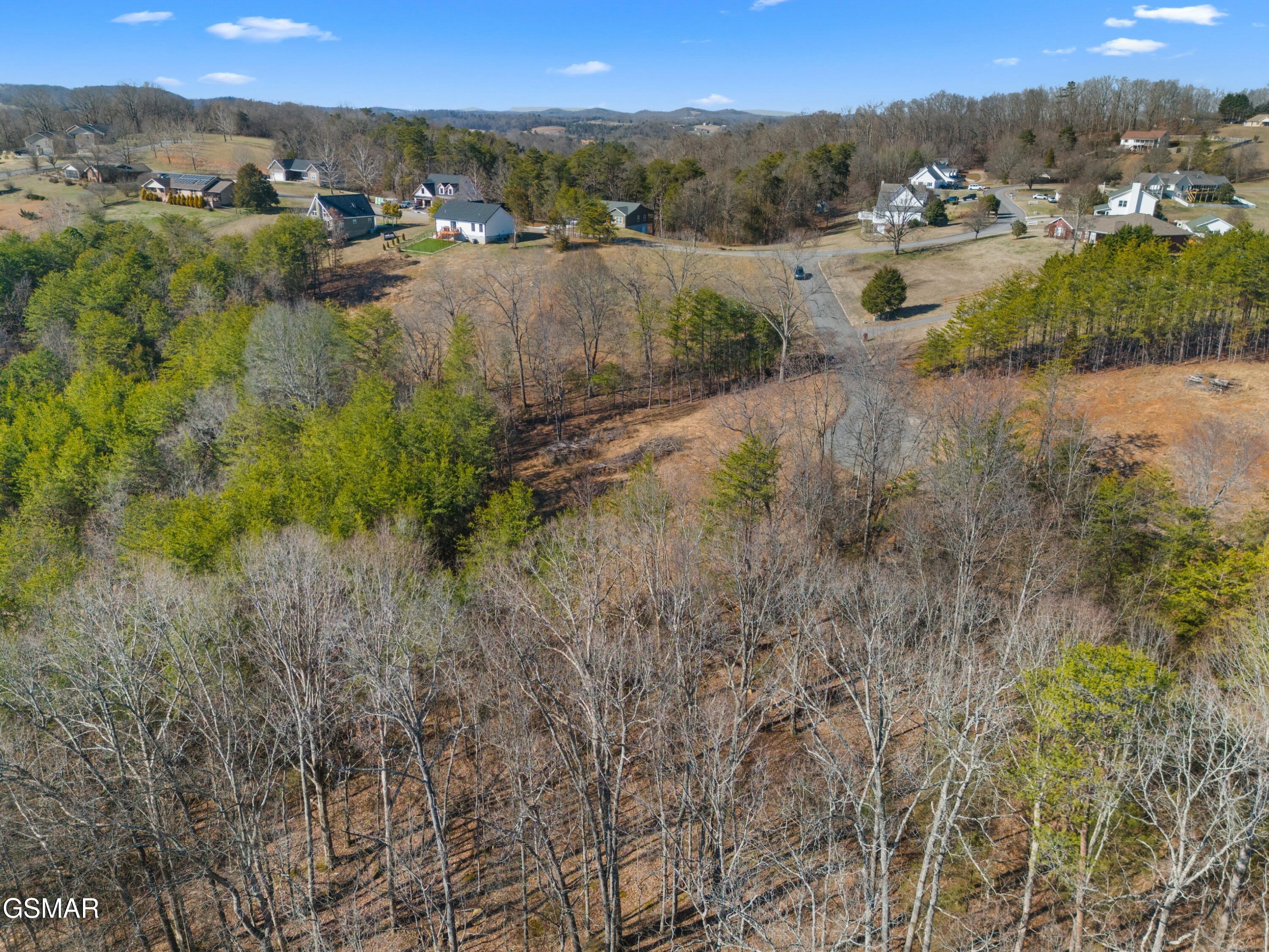 Lot 53 Kenneth Overlook Kodak TN 37764