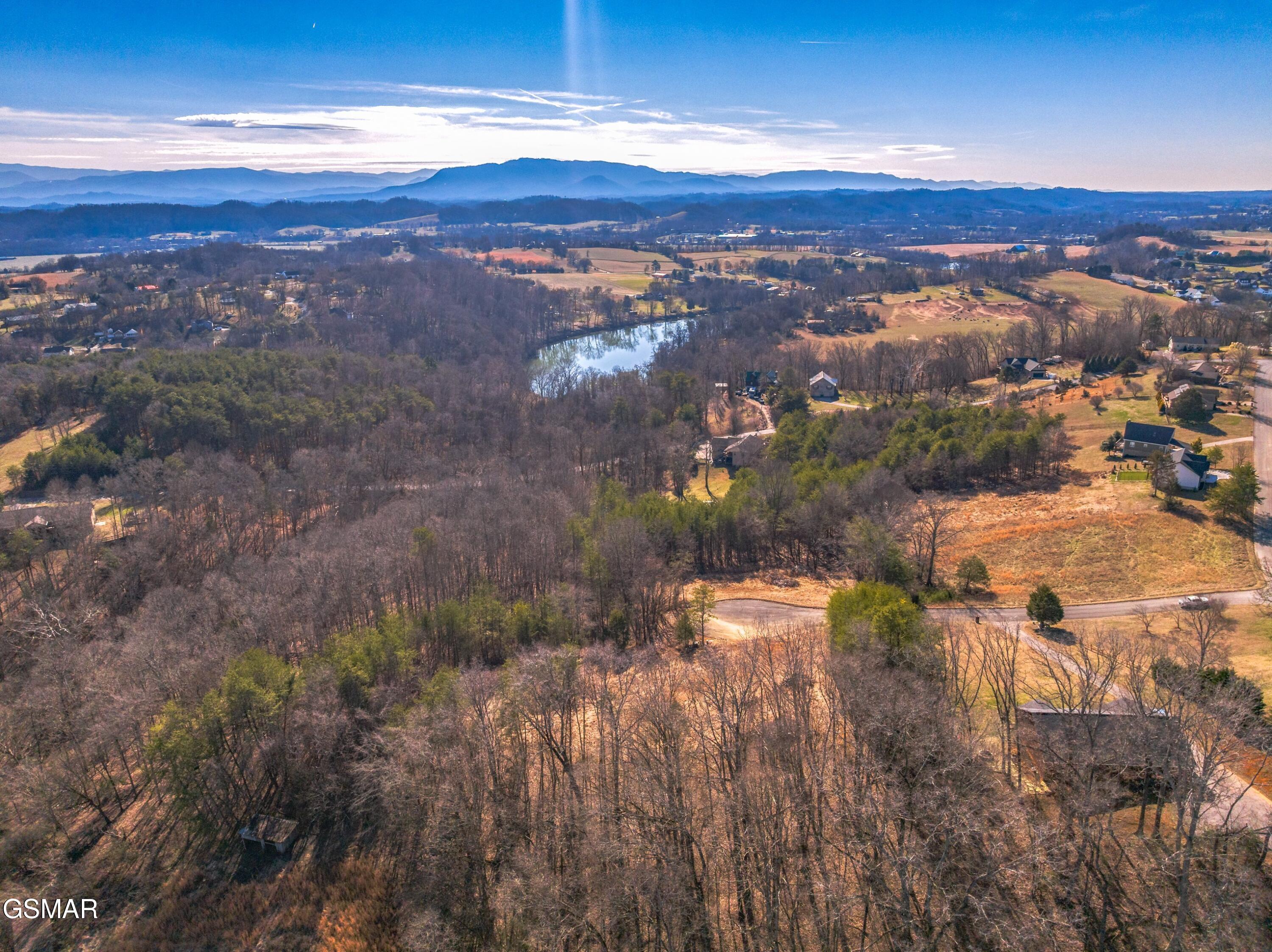 Lot 53 Kenneth Overlook Kodak TN 37764