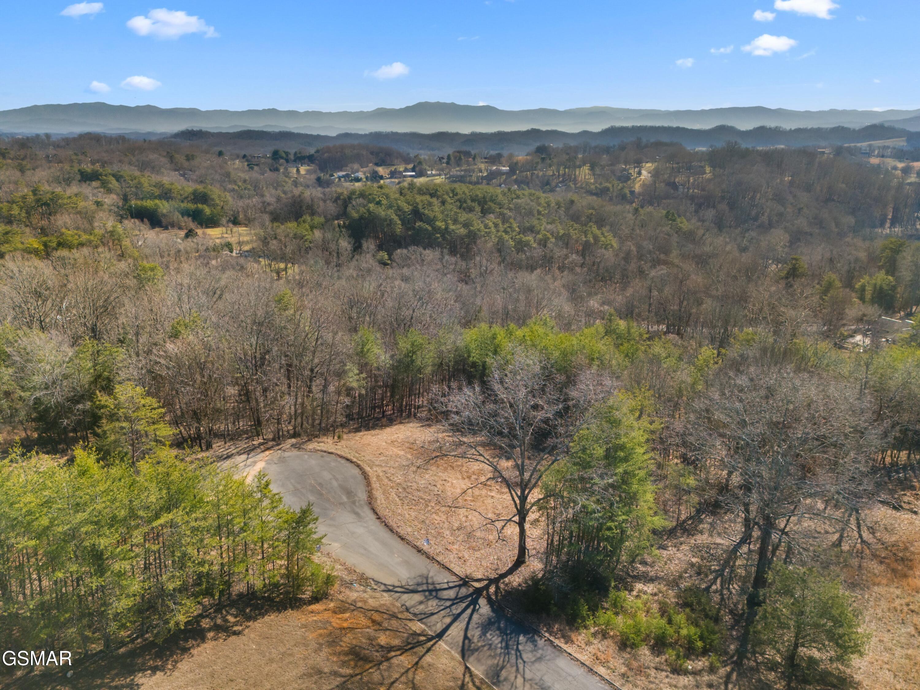 Lot 53 Kenneth Overlook Kodak TN 37764