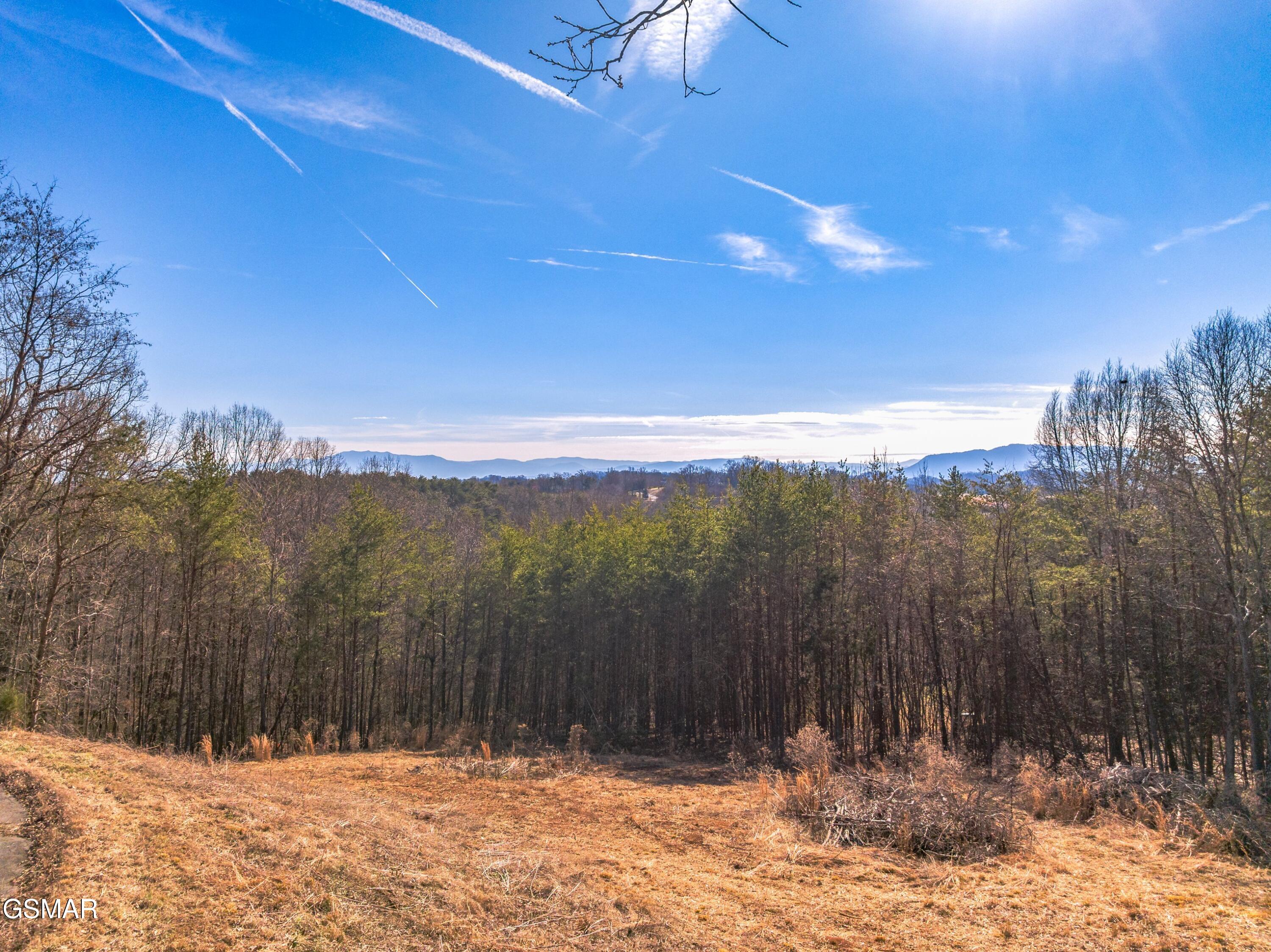 Lot 53 Kenneth Overlook Kodak TN 37764