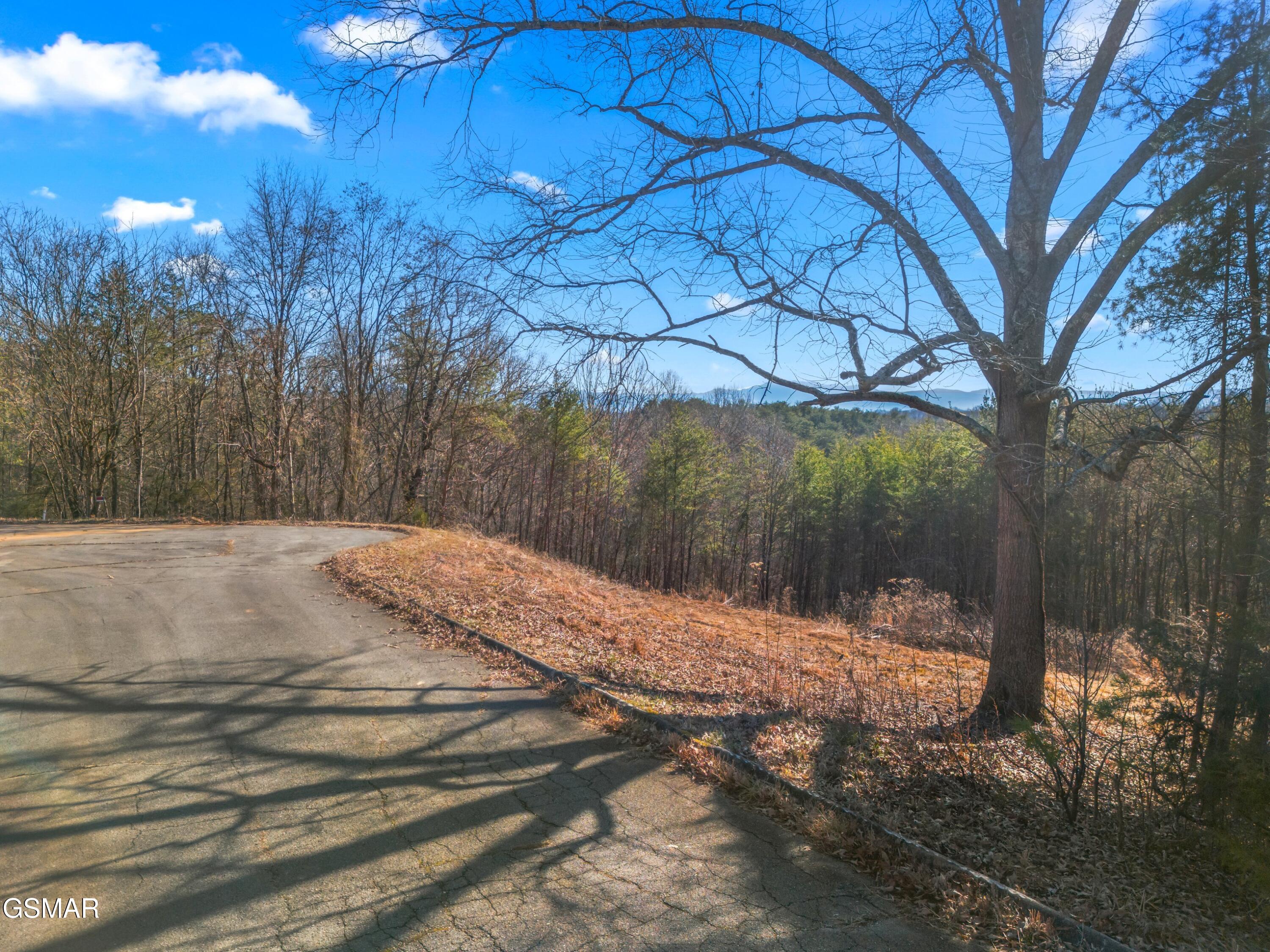 Lot 53 Kenneth Overlook Kodak TN 37764