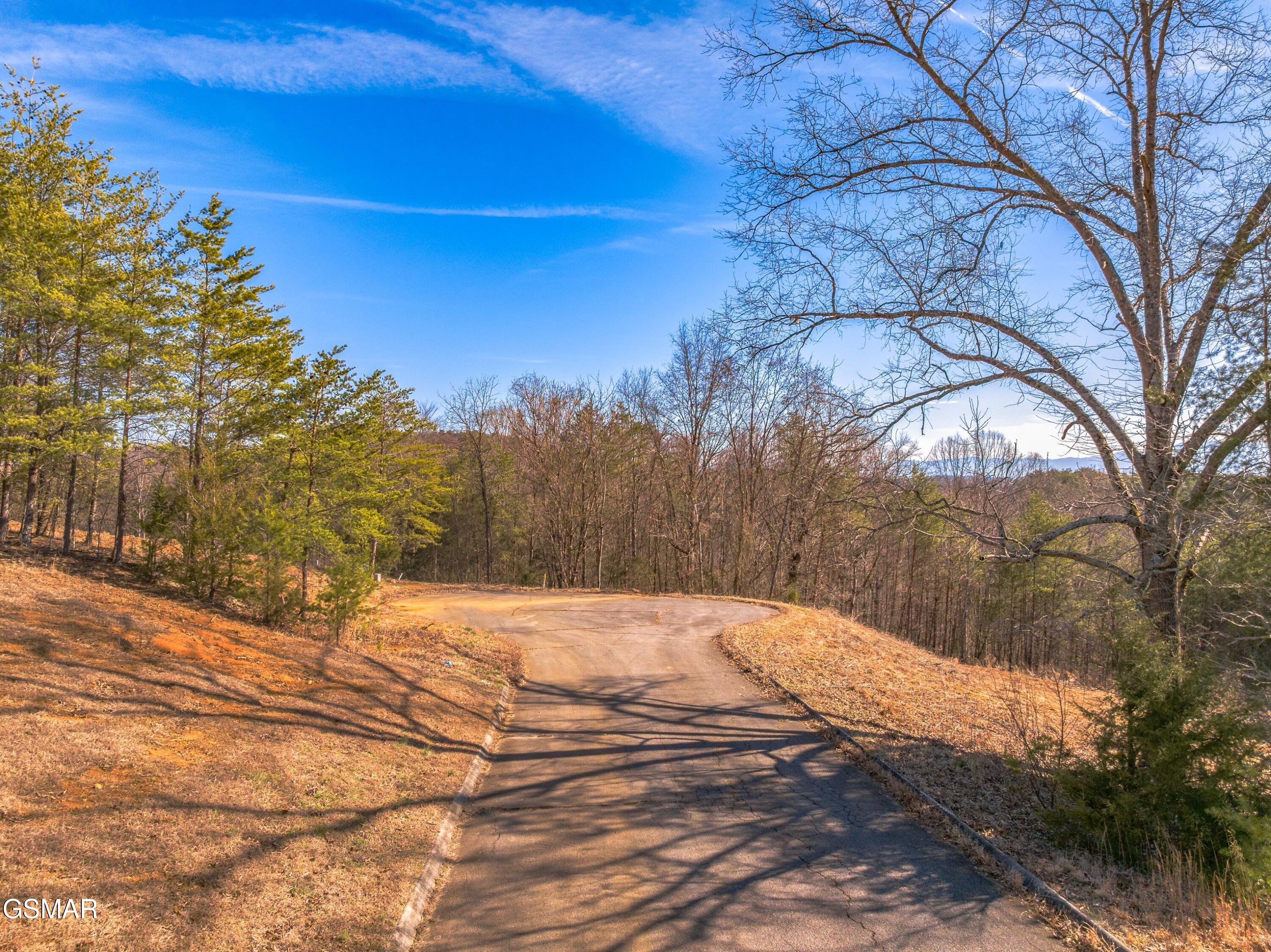 Lot 53 Kenneth Overlook Kodak TN 37764